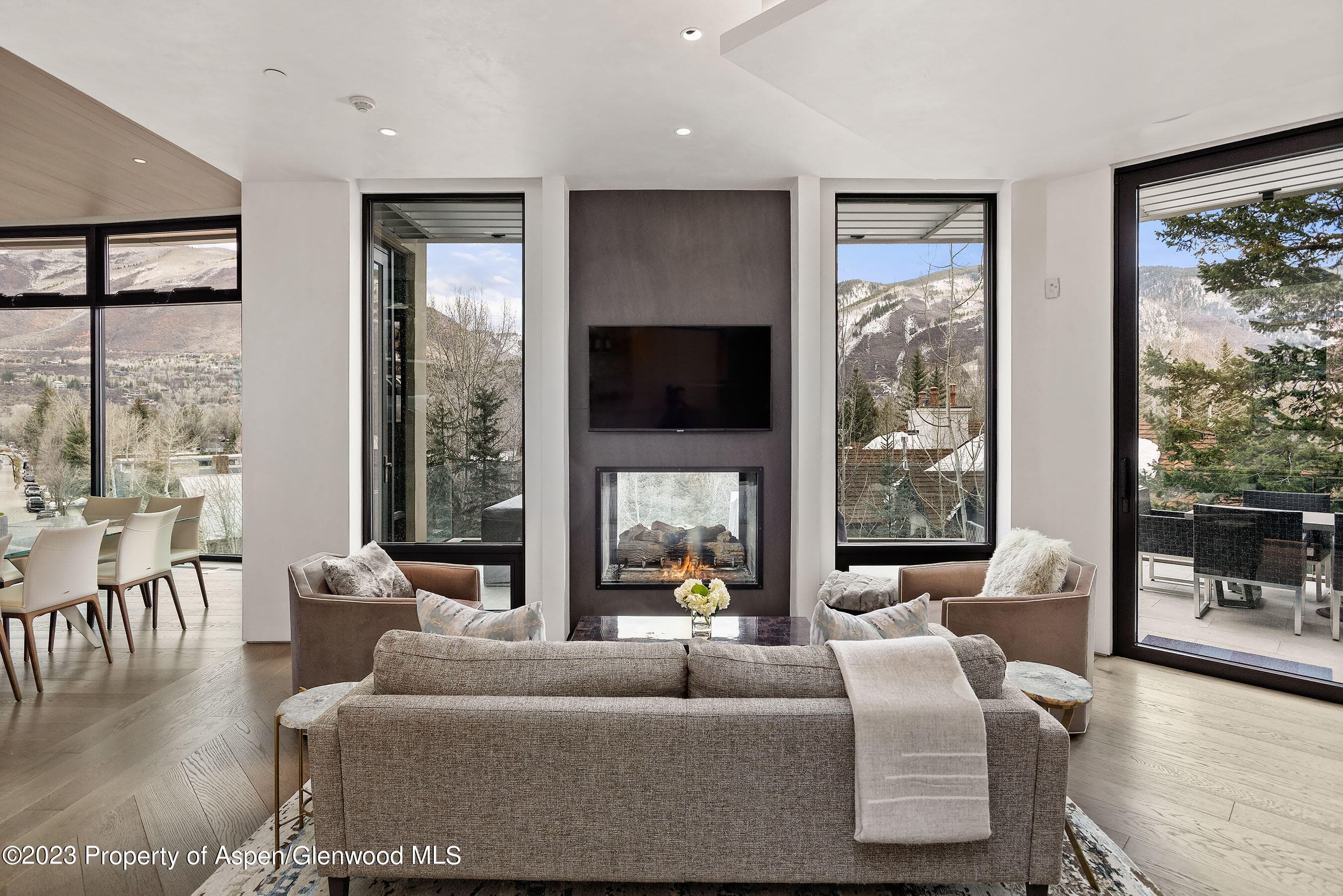 19 Little Cloud Trail, Aspen, CO 81611 - Photo 5