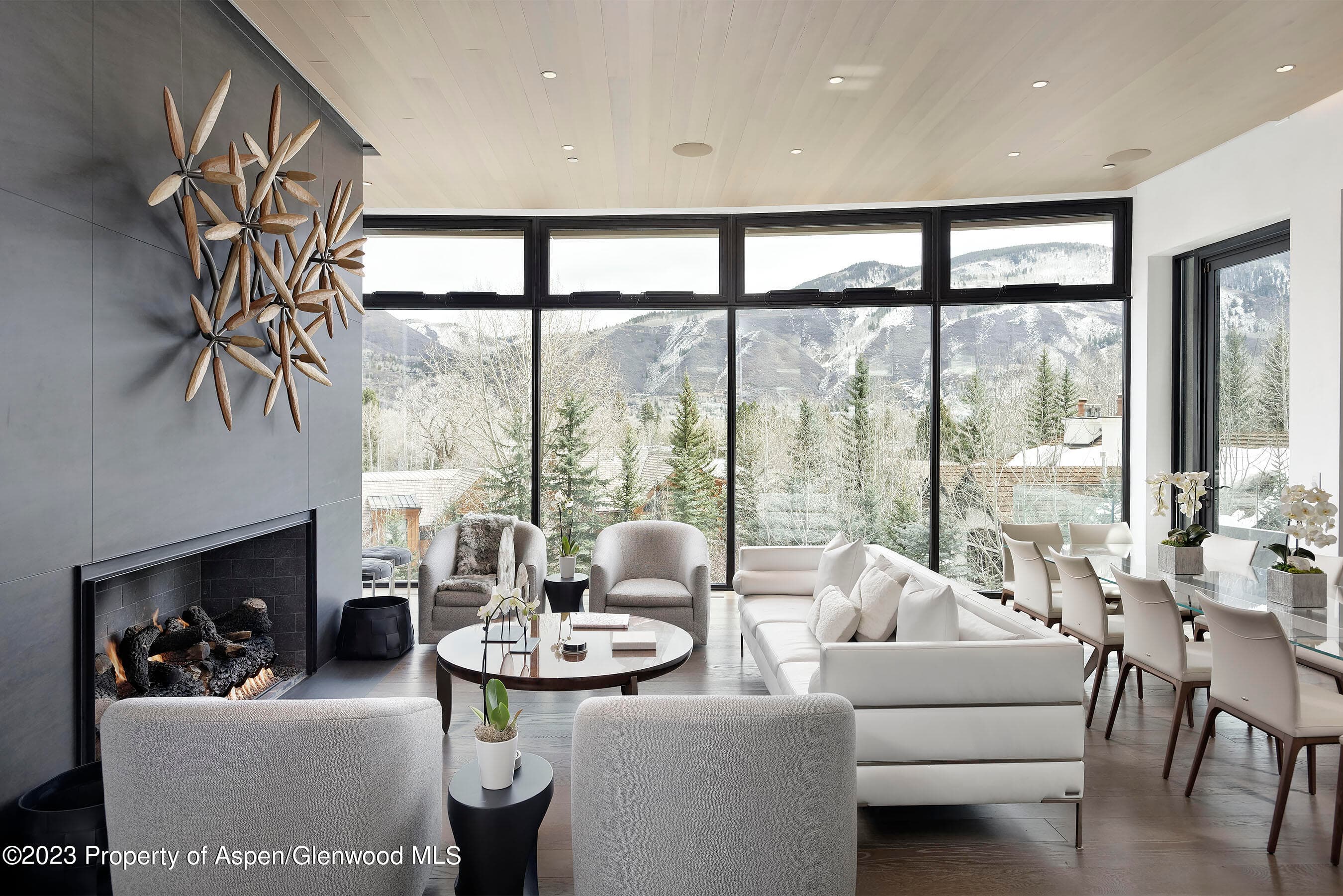 19 Little Cloud Trail, Aspen, CO 81611 - Photo 2