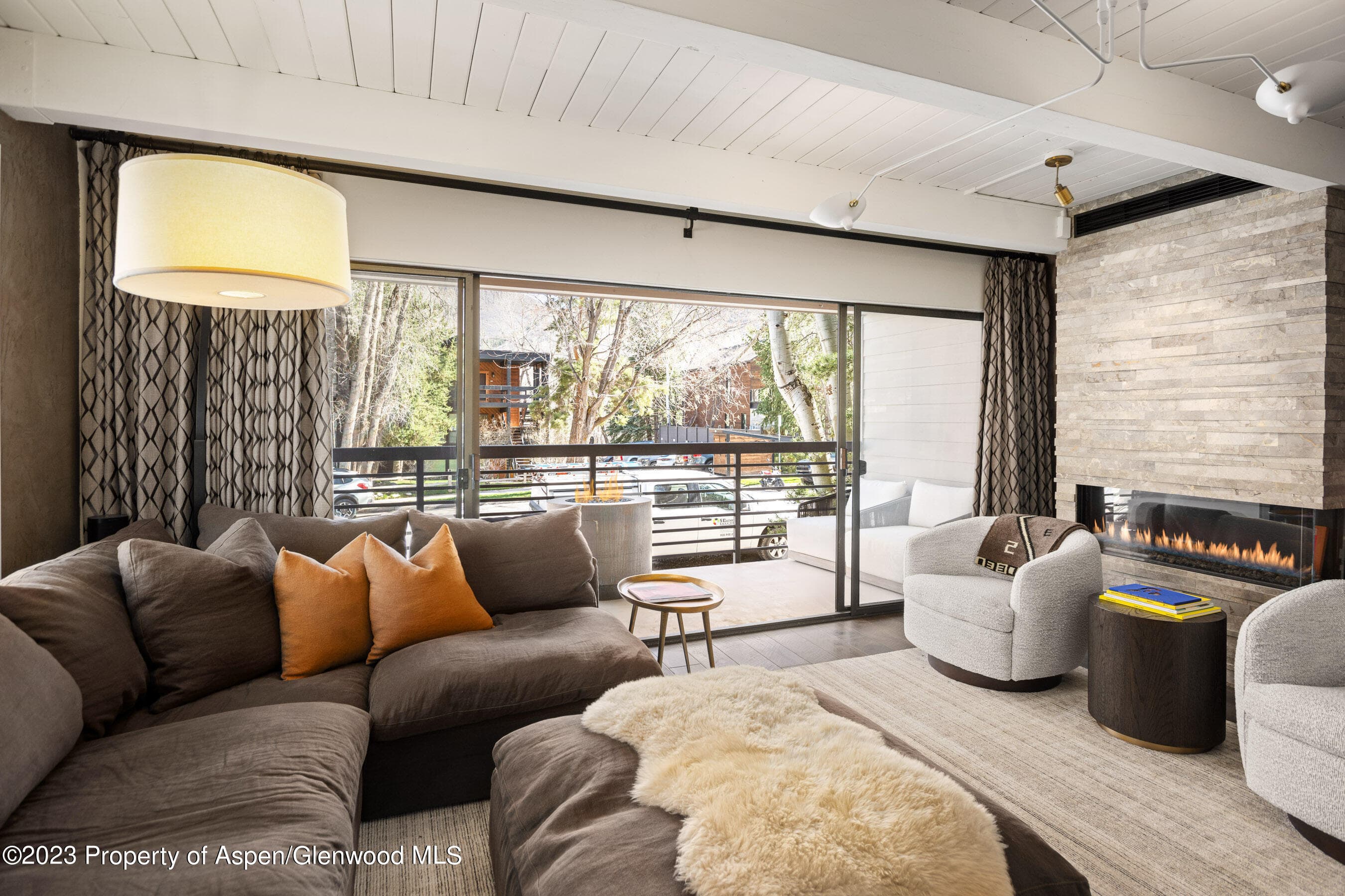 825 E Hopkins Avenue Unit 2N, Aspen, CO 81611 - Photo 2