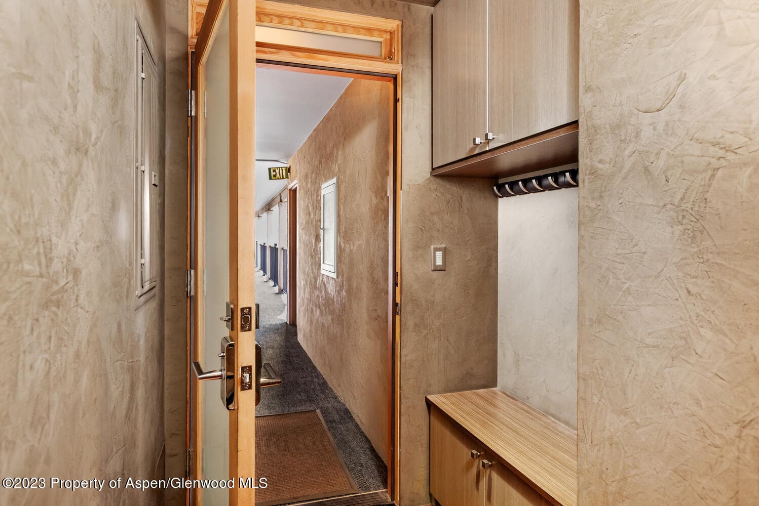 600 E Main Street 210, Aspen, CO 81611 - Photo 19