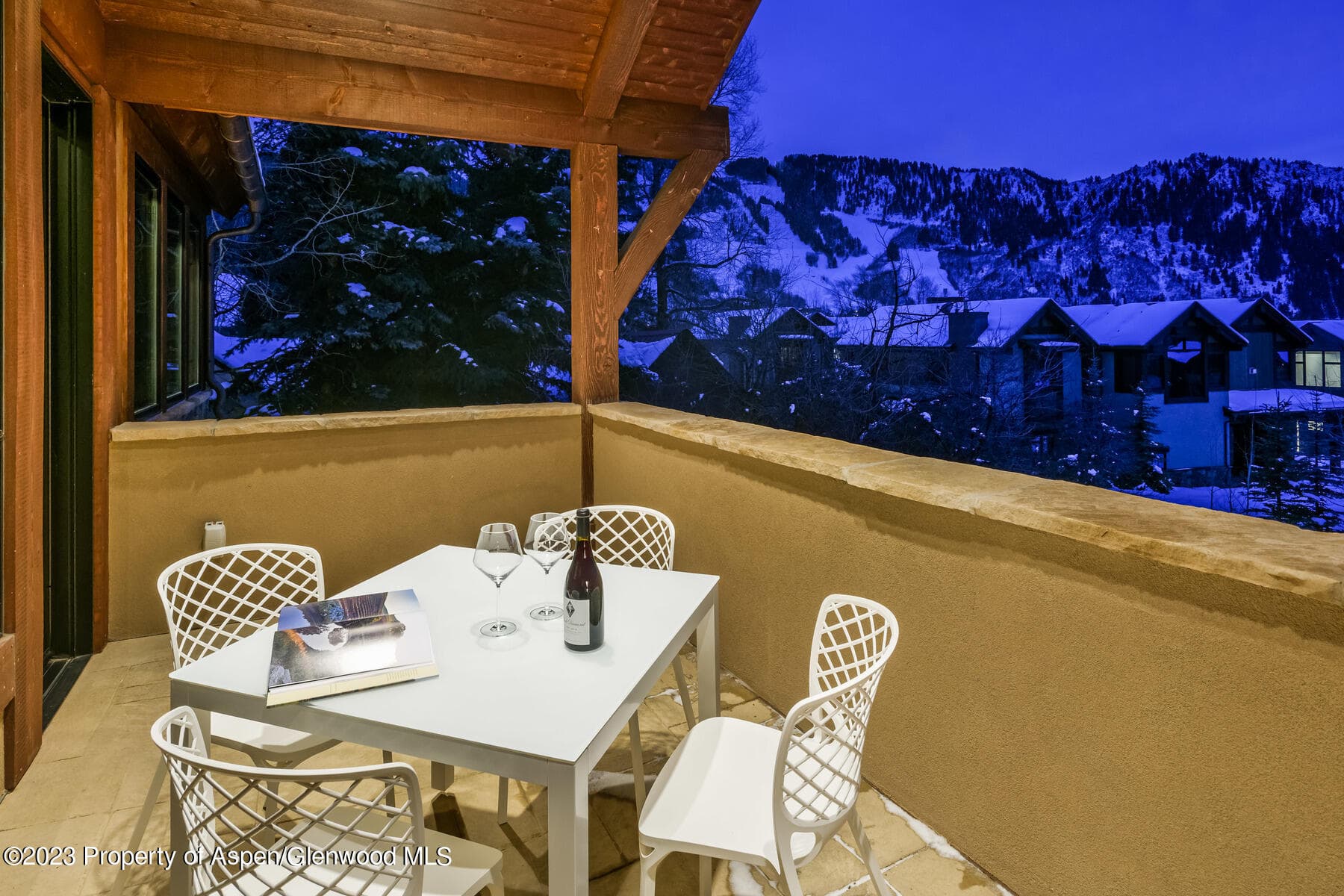 537 Race Street, Aspen, CO 81611 - Photo 13