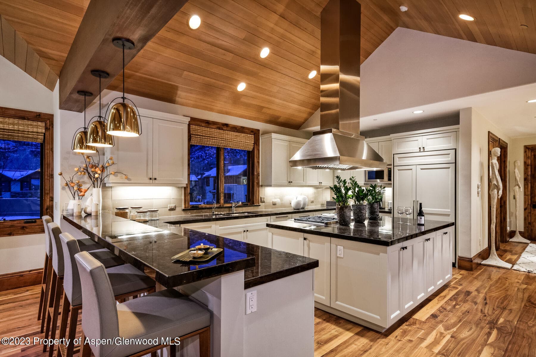 537 Race Street, Aspen, CO 81611 - Photo 6