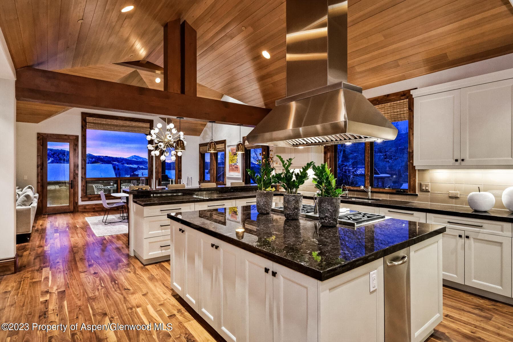 537 Race Street, Aspen, CO 81611 - Photo 5