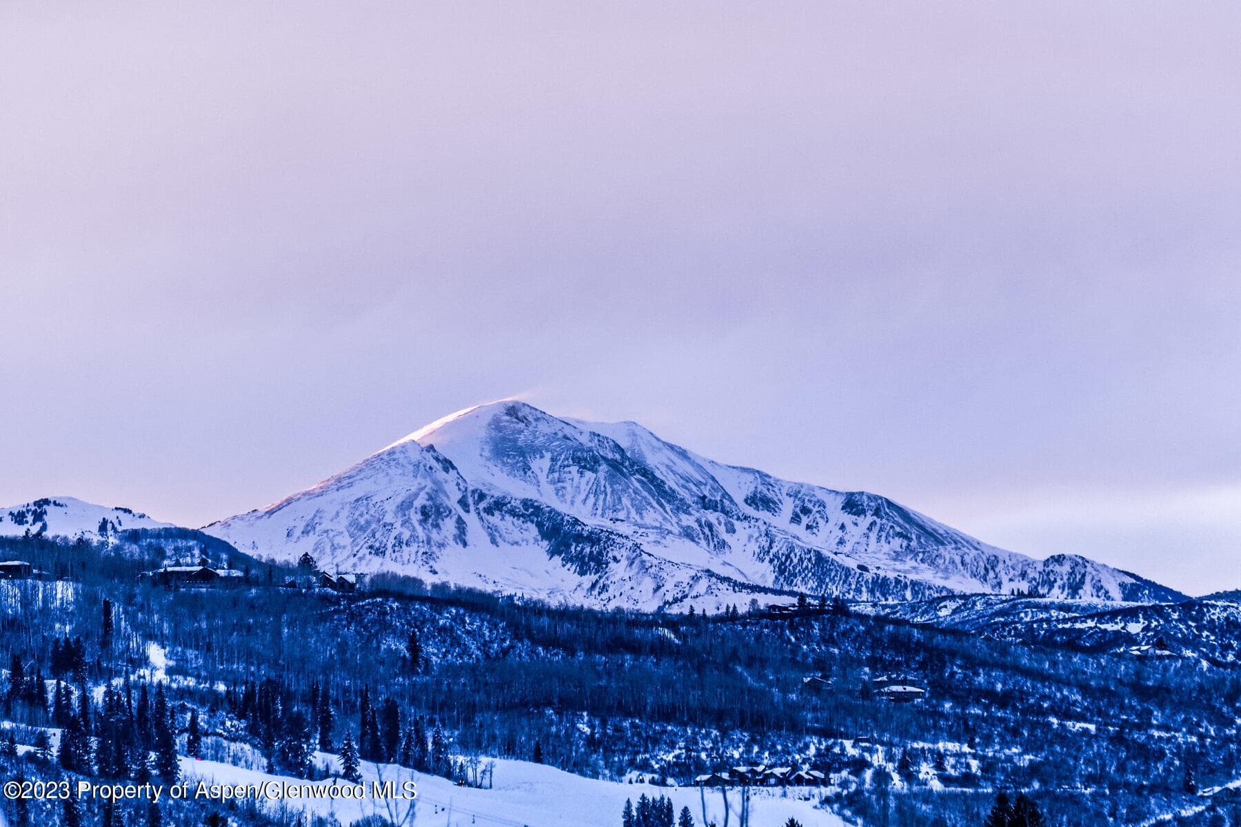 537 Race Street, Aspen, CO 81611 - Photo 11