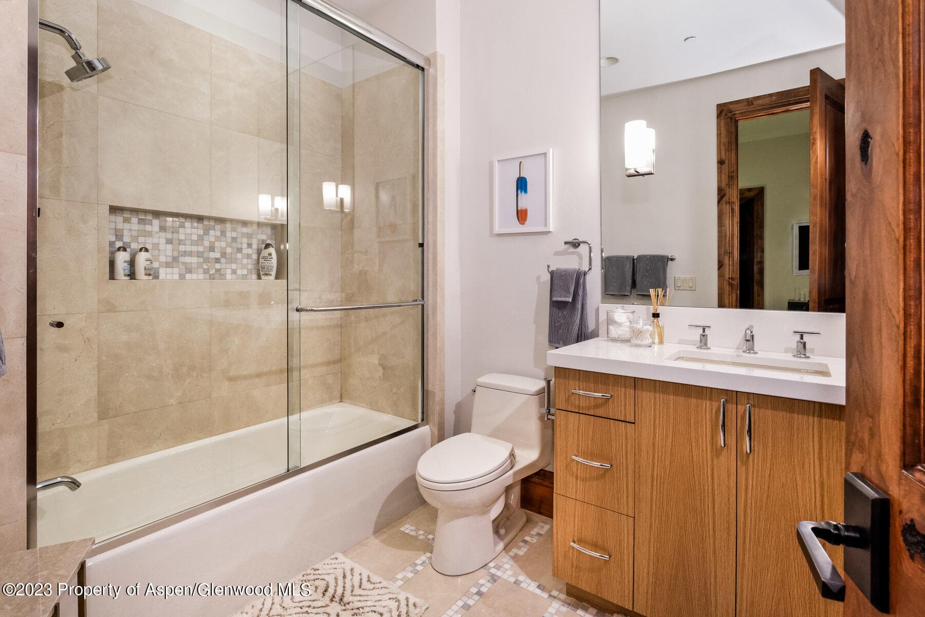 537 Race Street, Aspen, CO 81611 - Photo 21
