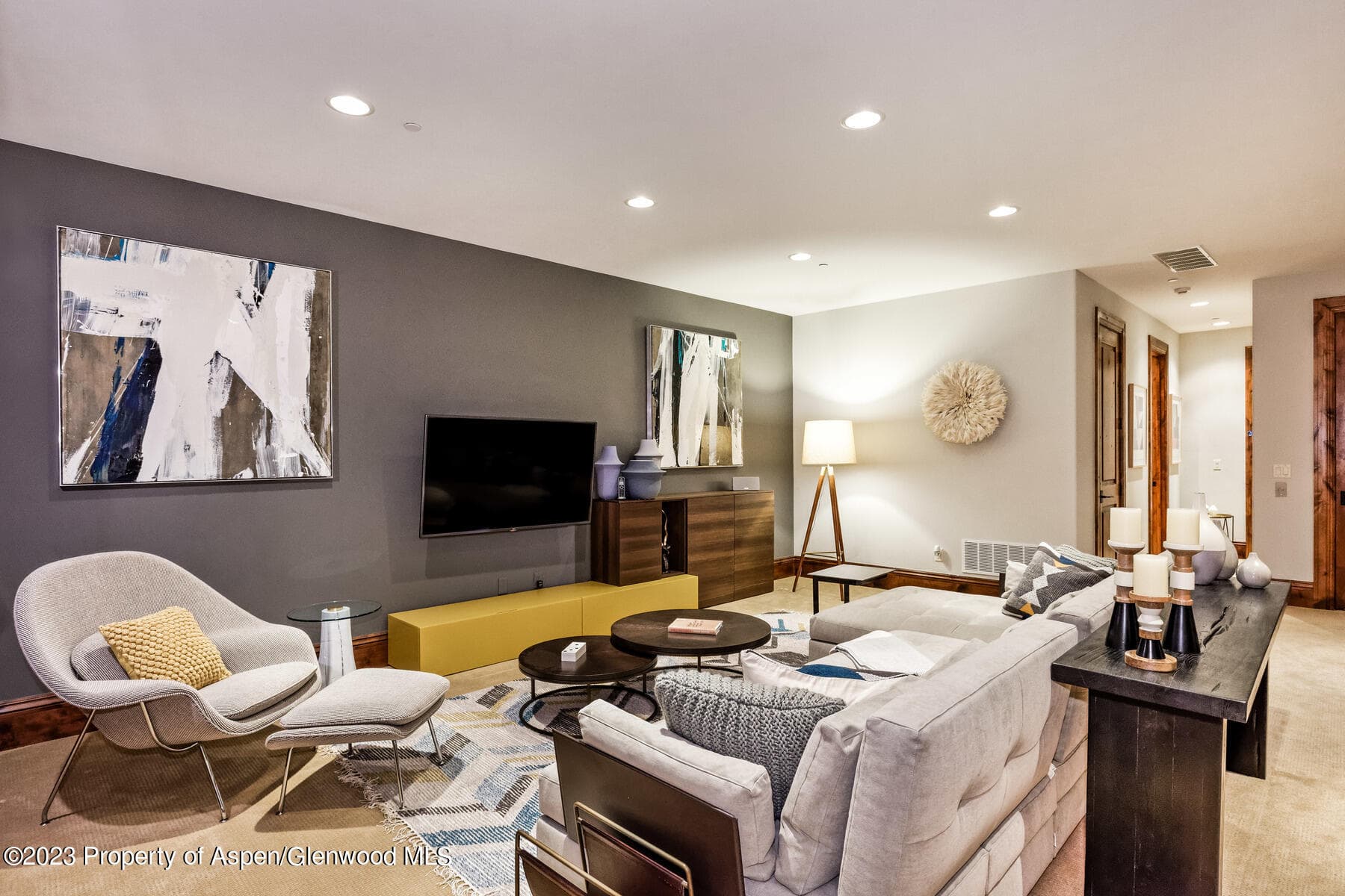 537 Race Street, Aspen, CO 81611 - Photo 26
