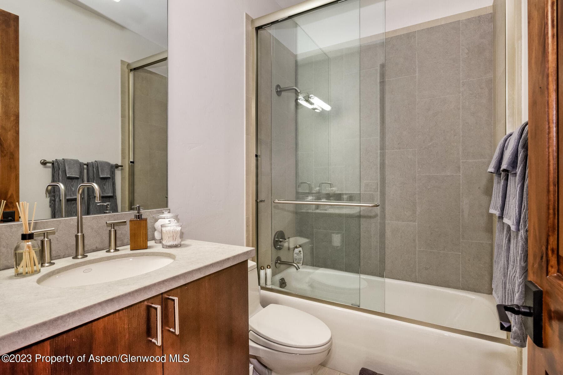 537 Race Street, Aspen, CO 81611 - Photo 29
