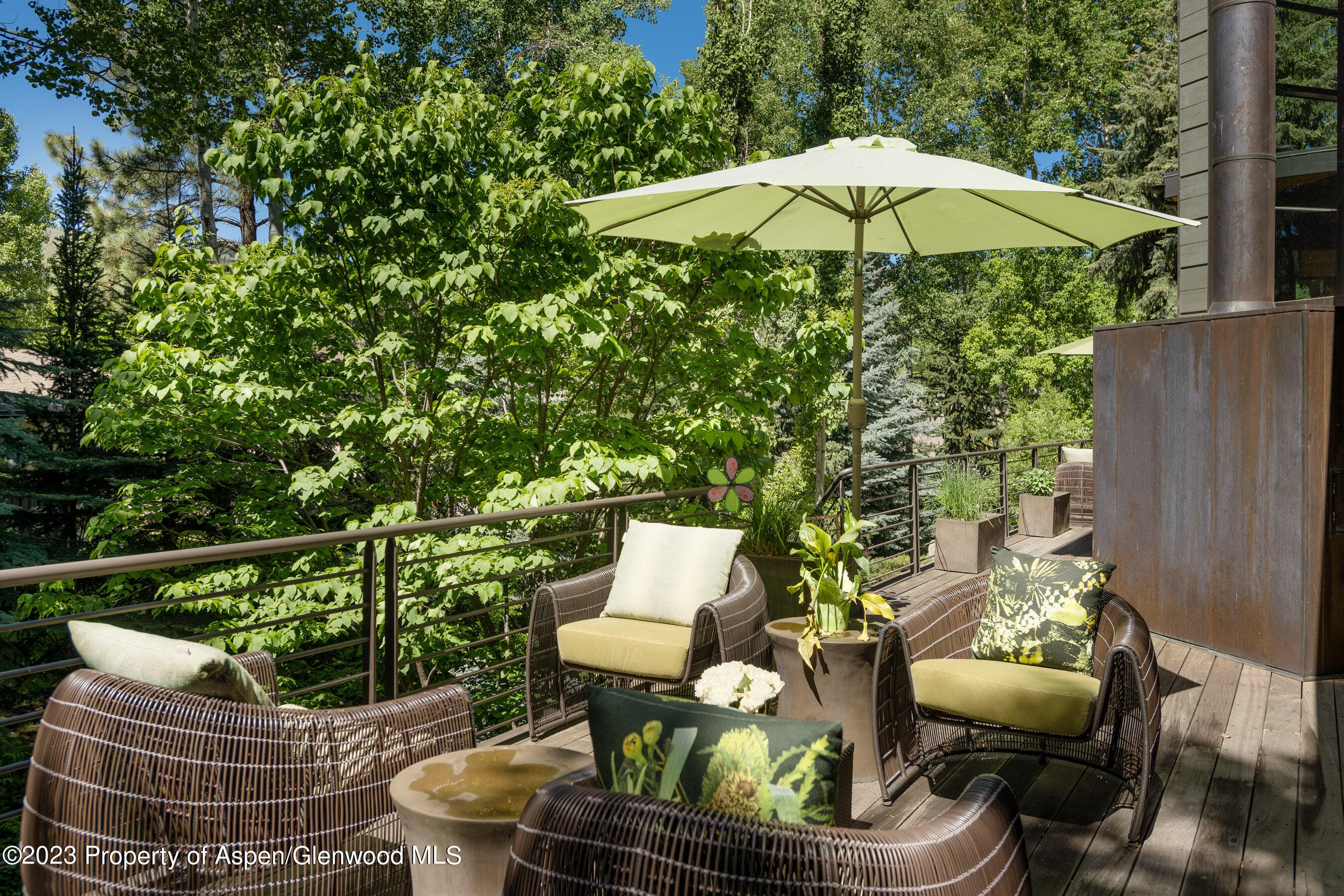 1575 Silver King Drive, Aspen, CO 81611 - Photo 28