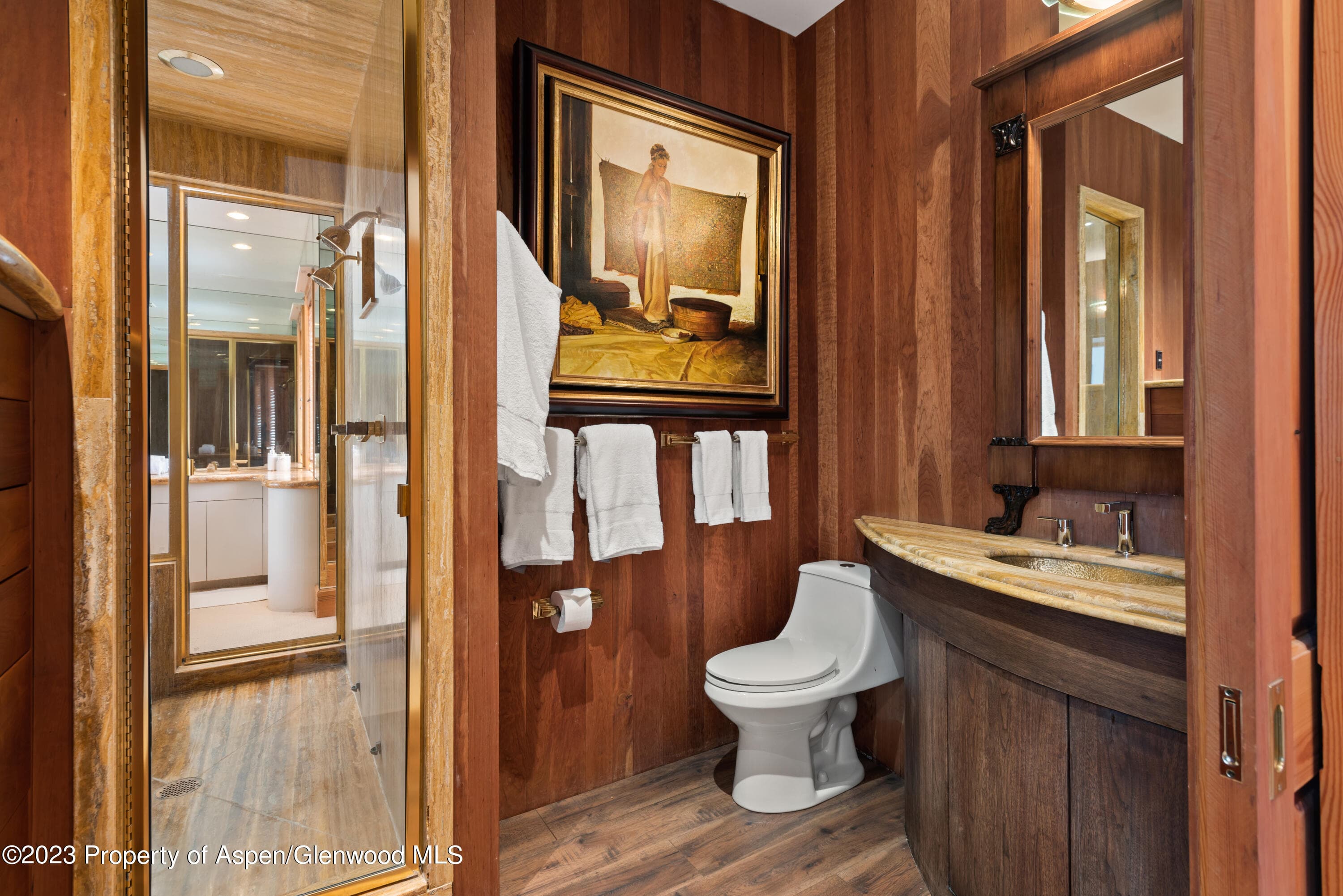 615 E Hopkins Avenue, Aspen, CO 81611 - Photo 21