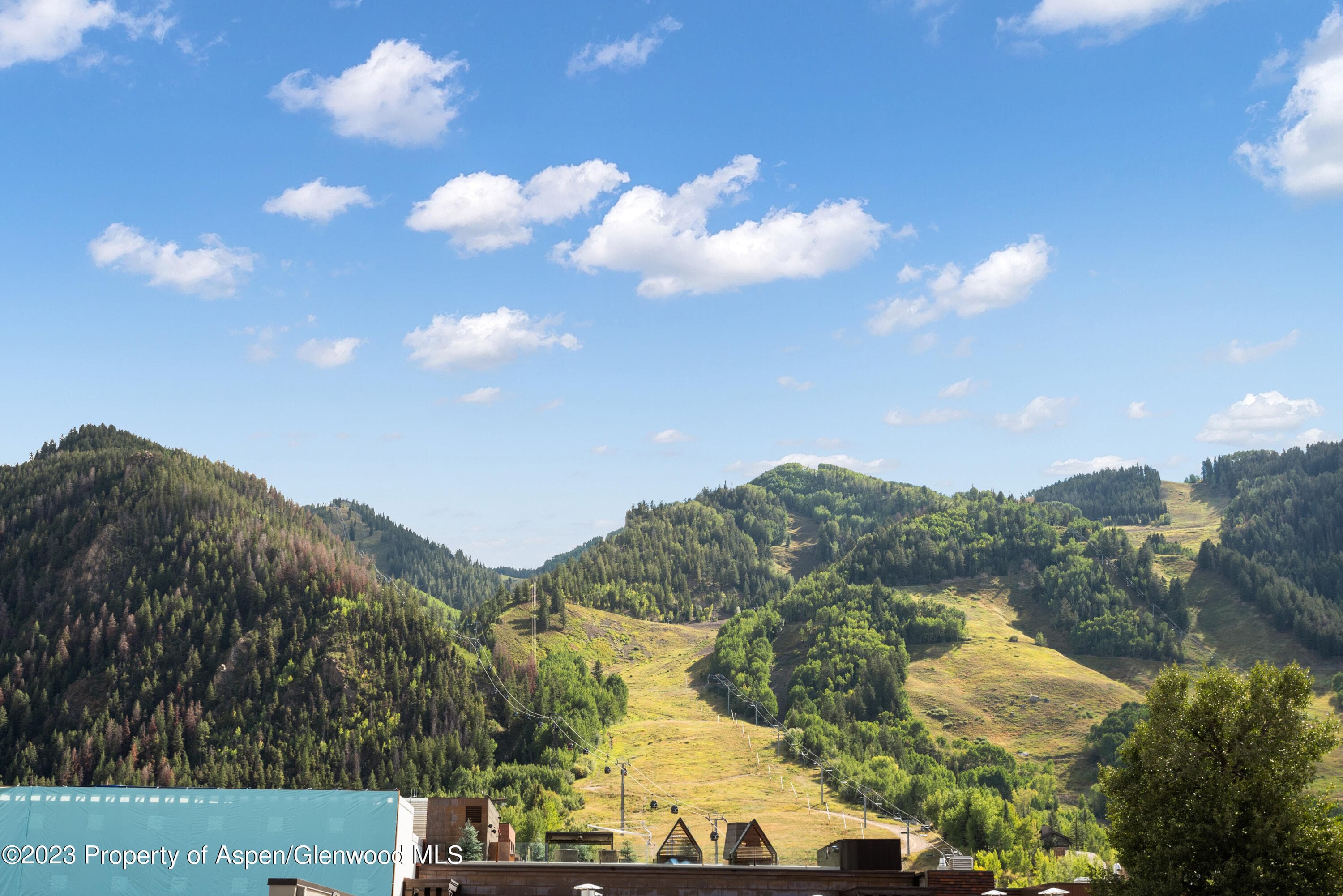 615 E Hopkins Avenue, Aspen, CO 81611 - Photo 28