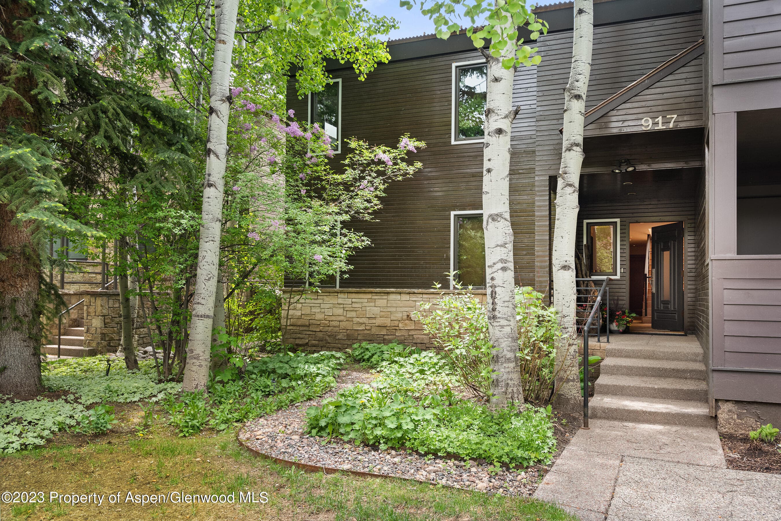 917 E Durant Avenue, Aspen, CO 81611 - Photo 22