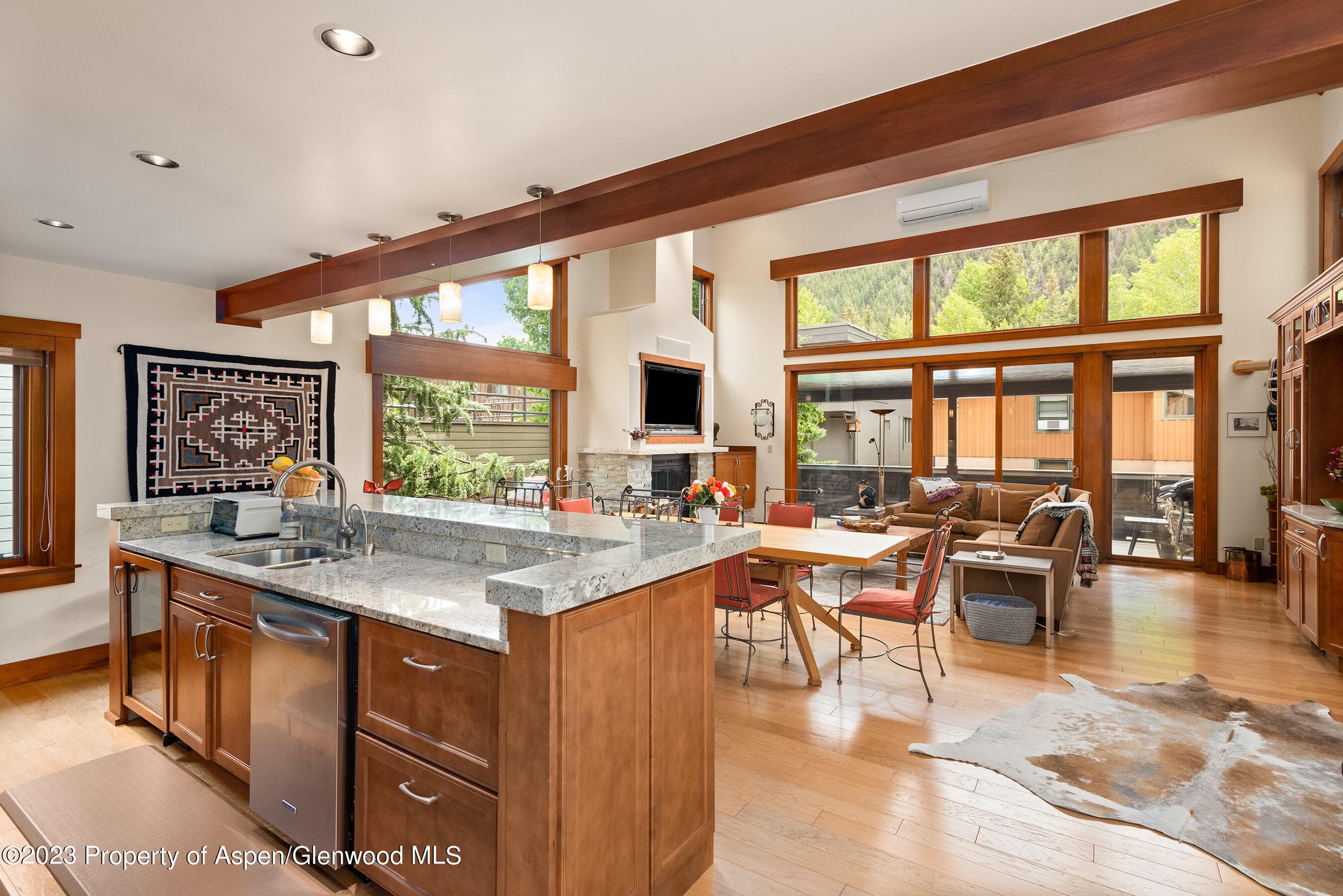 917 E Durant Avenue, Aspen, CO 81611 - Photo 4