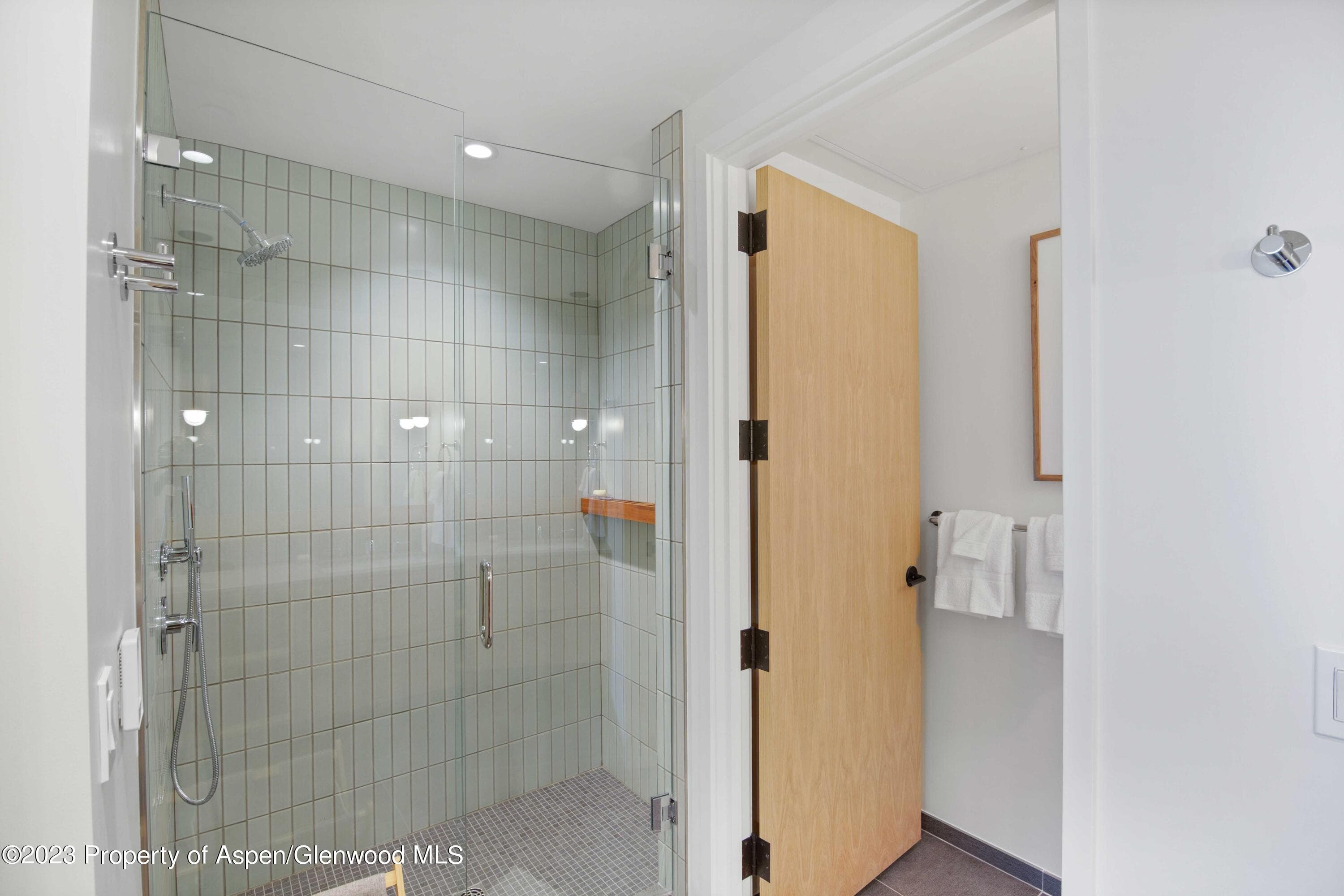 119 WOOD Road 204, Snowmass Village, CO 81615 - Photo 13