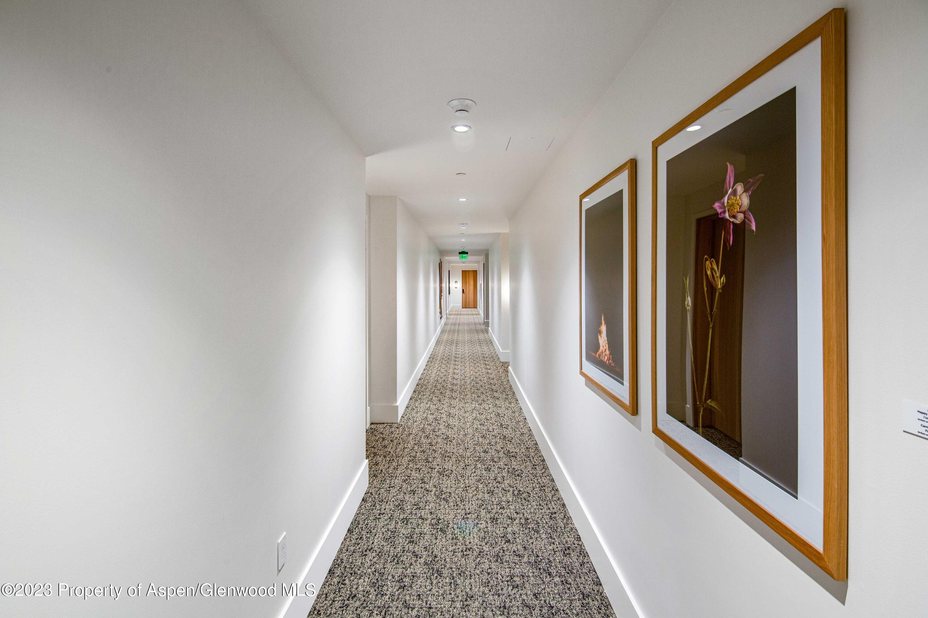119 WOOD Road 204, Snowmass Village, CO 81615 - Photo 23