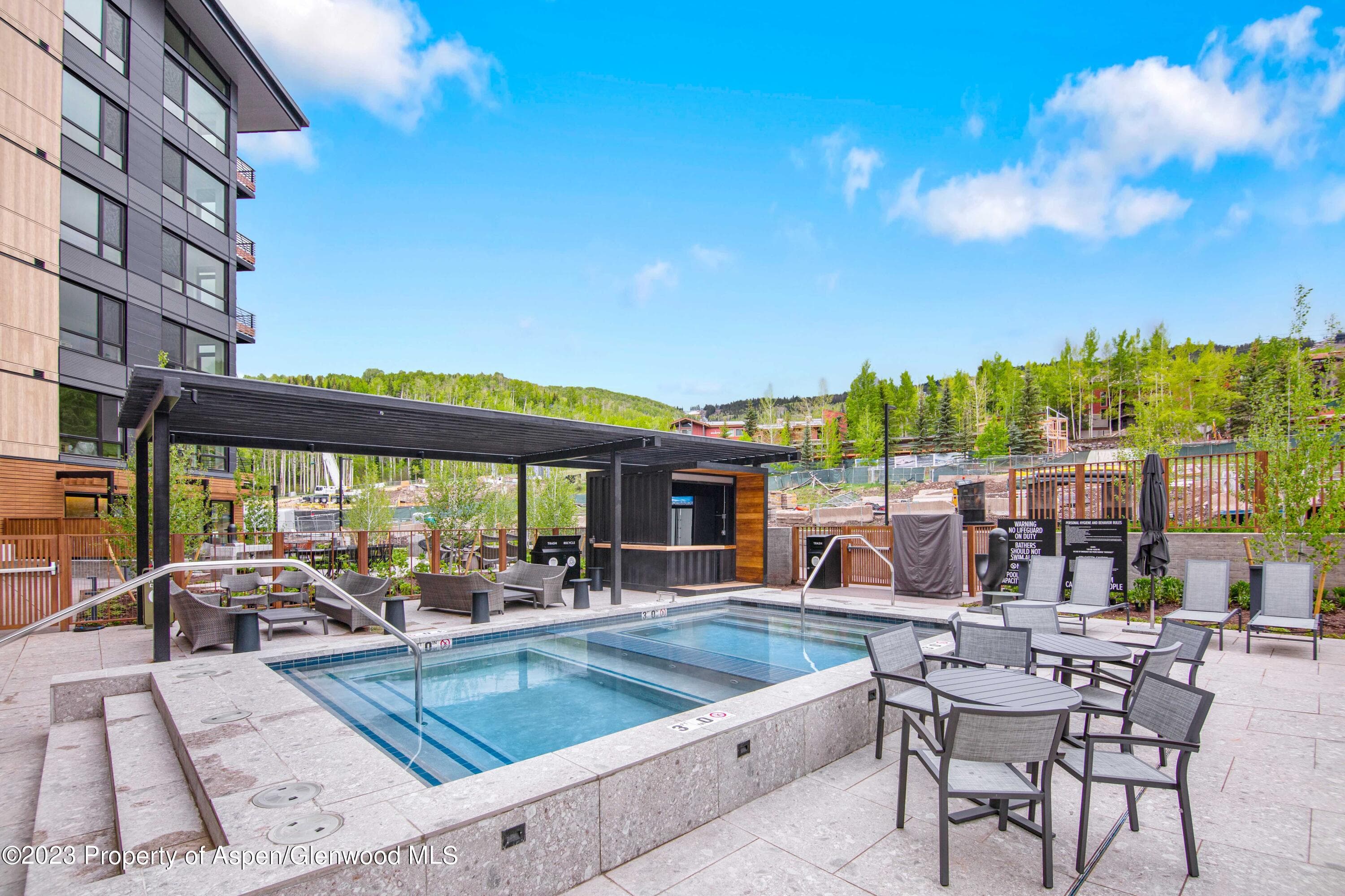 119 WOOD Road 204, Snowmass Village, CO 81615 - Photo 27