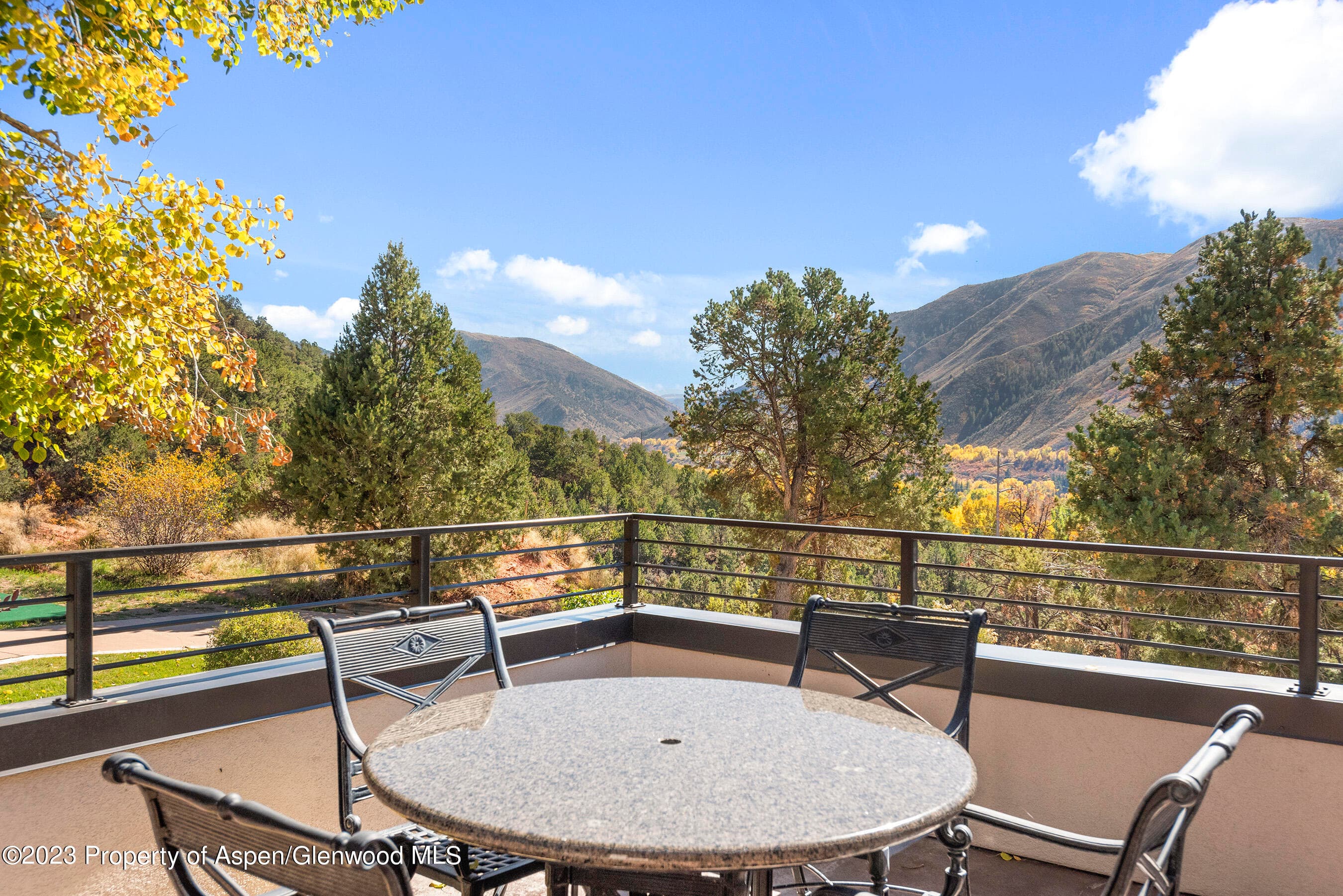 571 Booth Lane, Basalt, CO 81621 - Photo 38