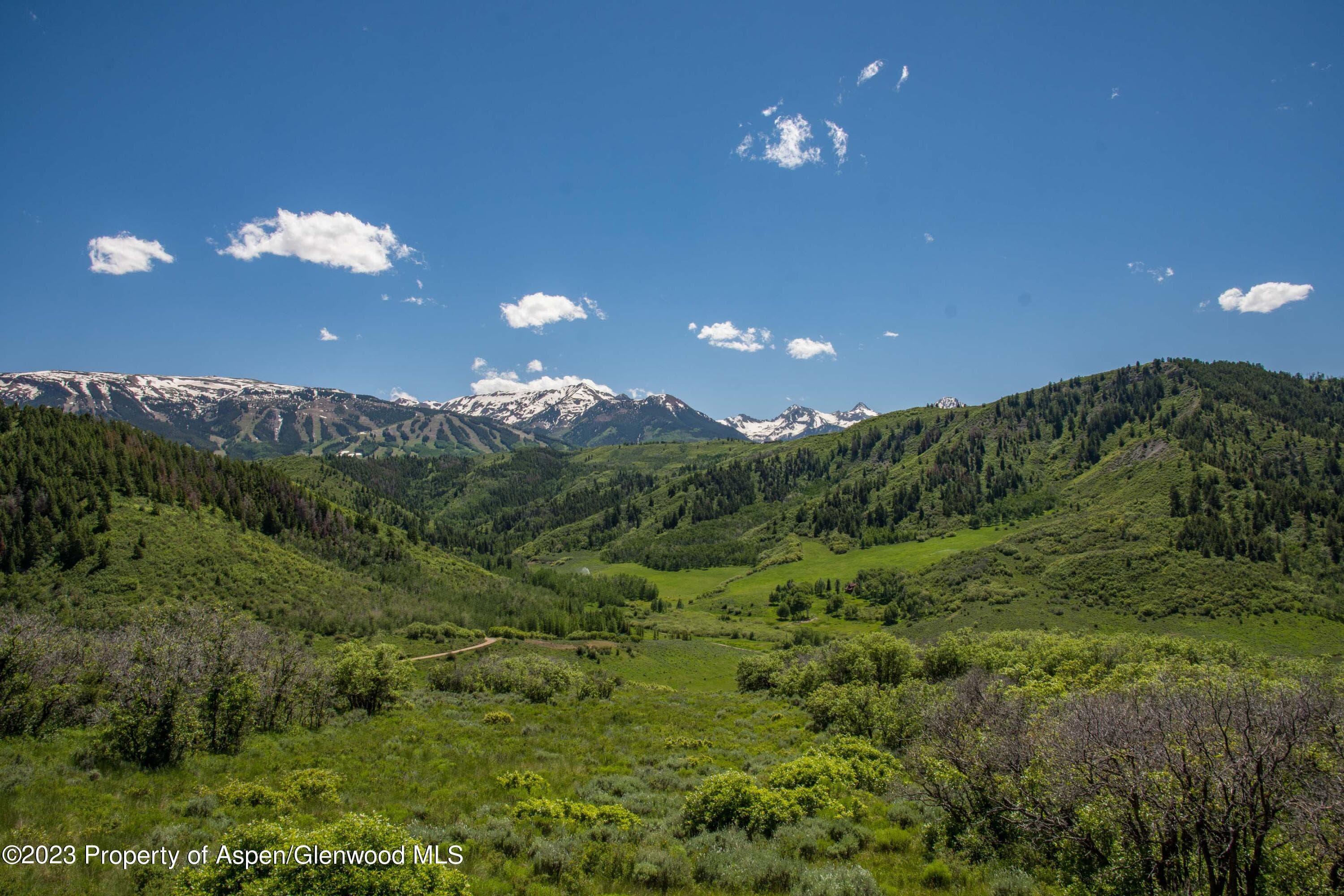 TBD Lake Wildcat Road, Snowmass Village, CO 81615 - Photo 7