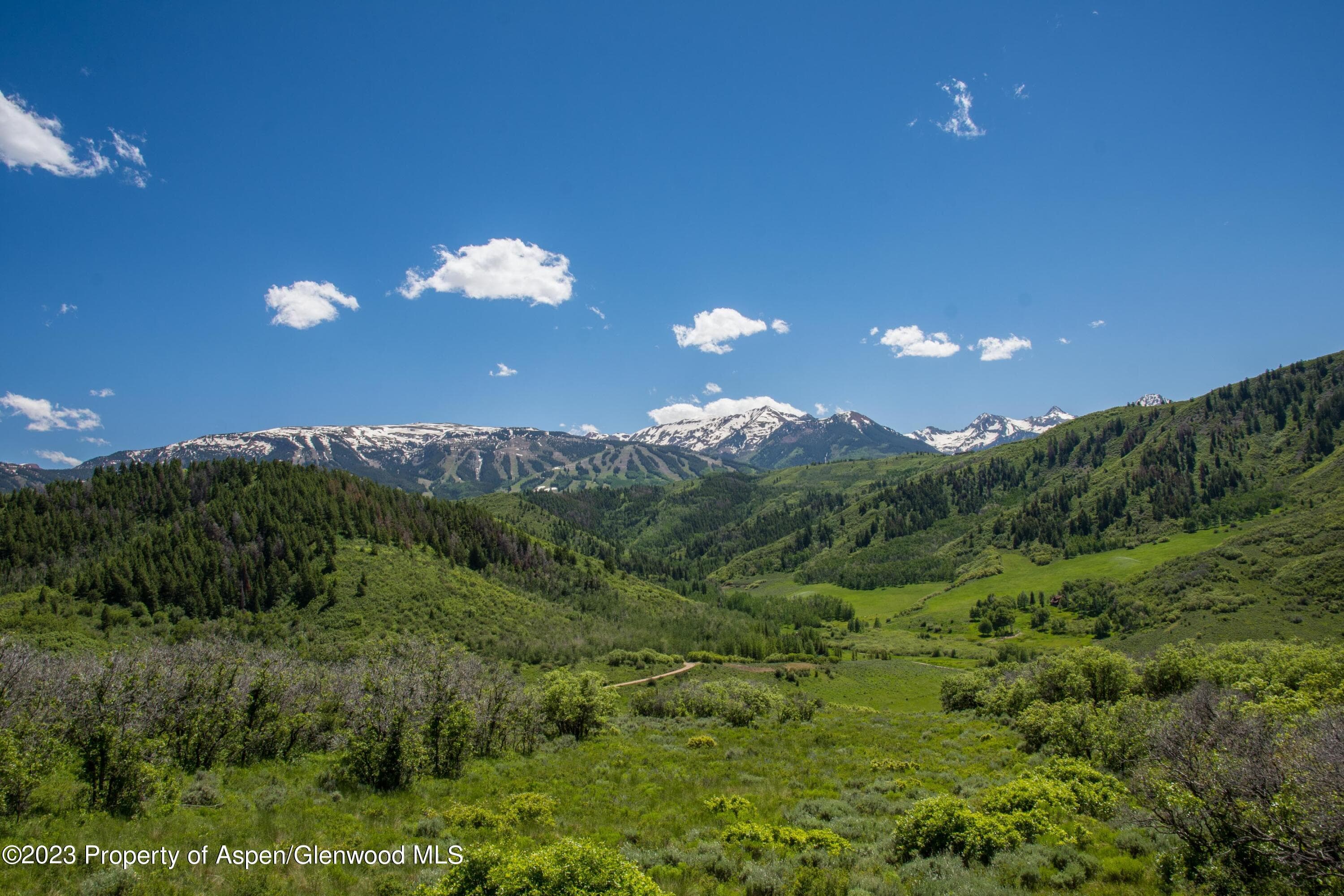 TBD Lake Wildcat Road, Snowmass Village, CO 81615 - Photo 11