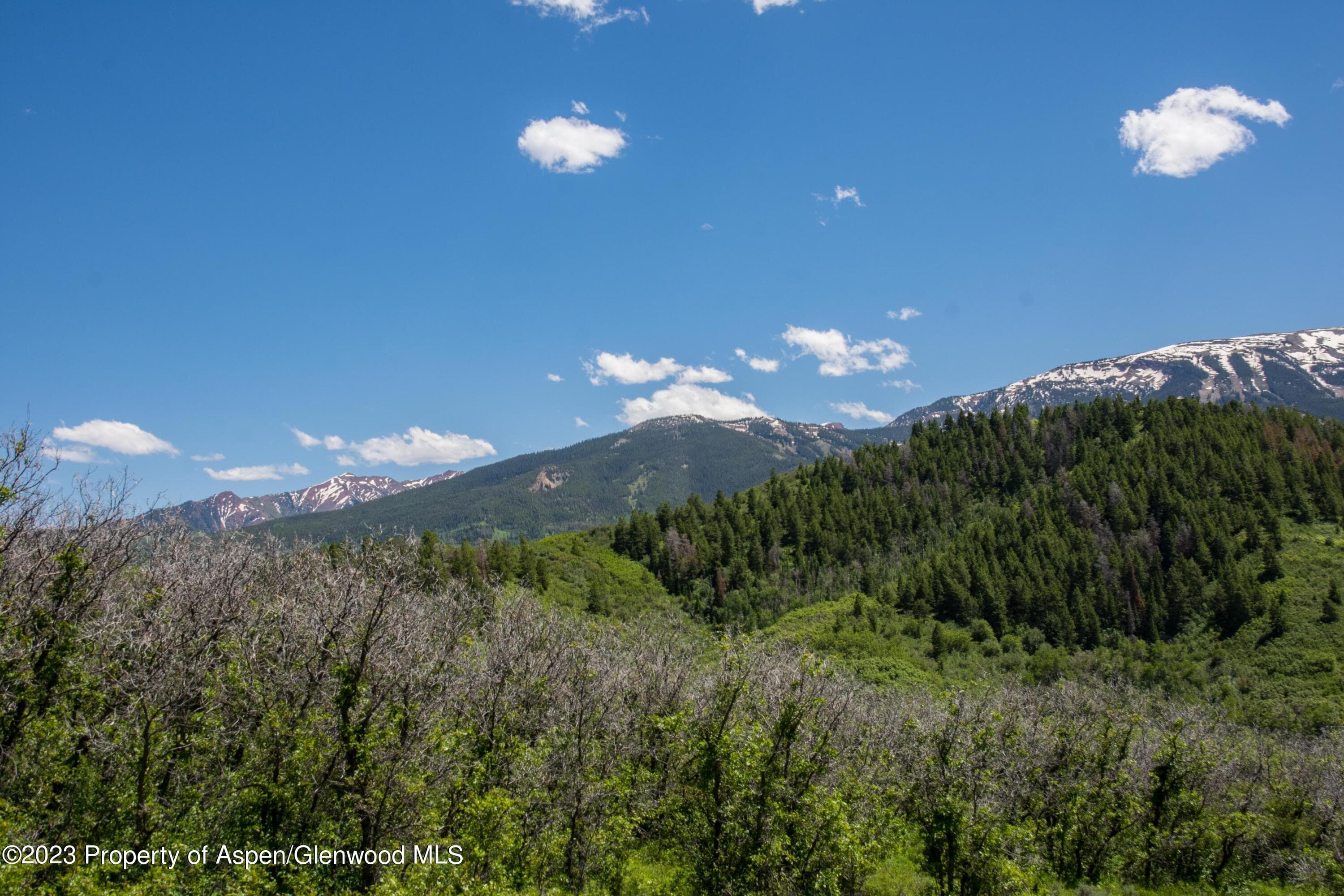 TBD Lake Wildcat Road, Snowmass Village, CO 81615 - Photo 12