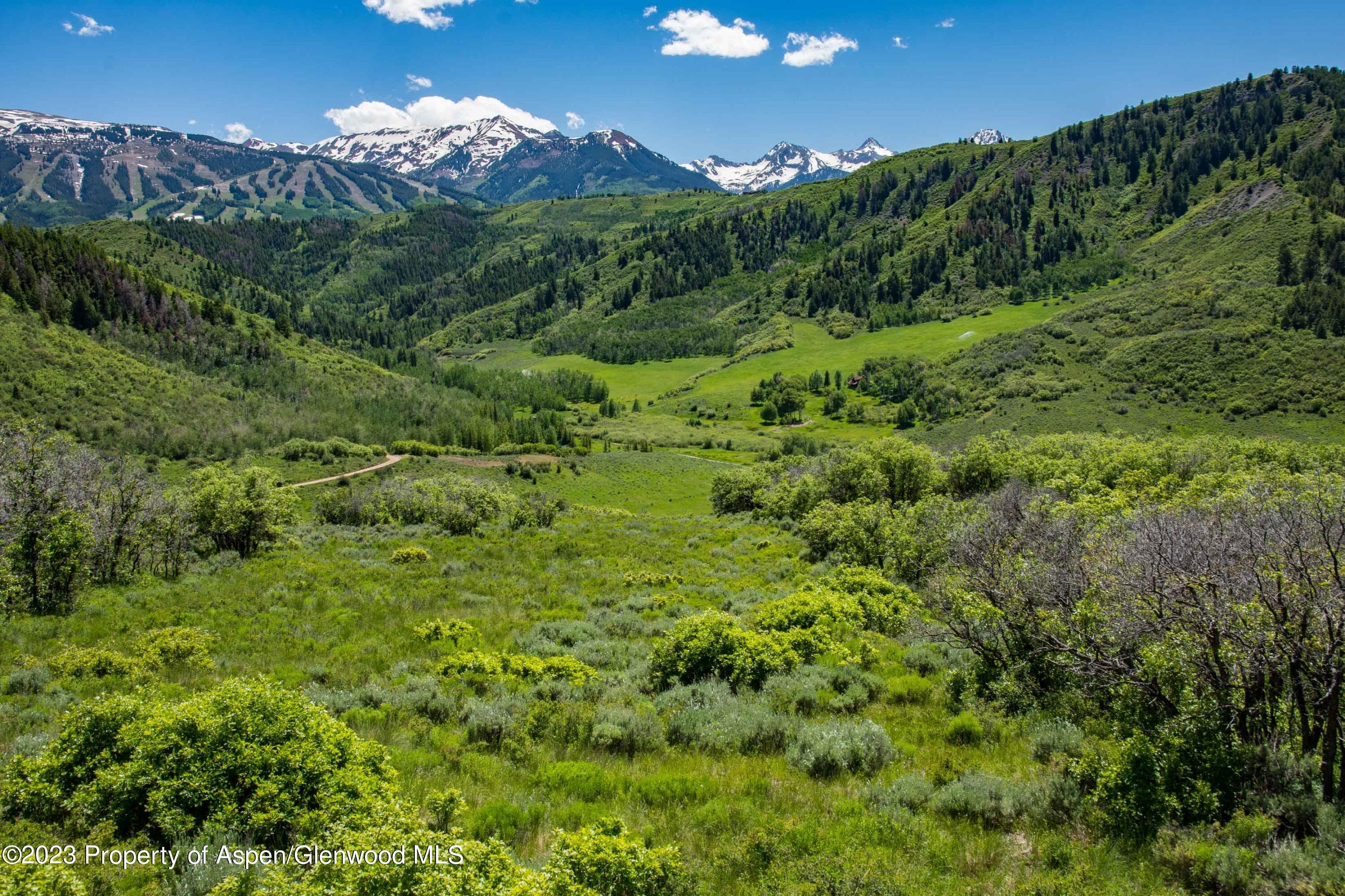 TBD Lake Wildcat Road, Snowmass Village, CO 81615 - Photo 5