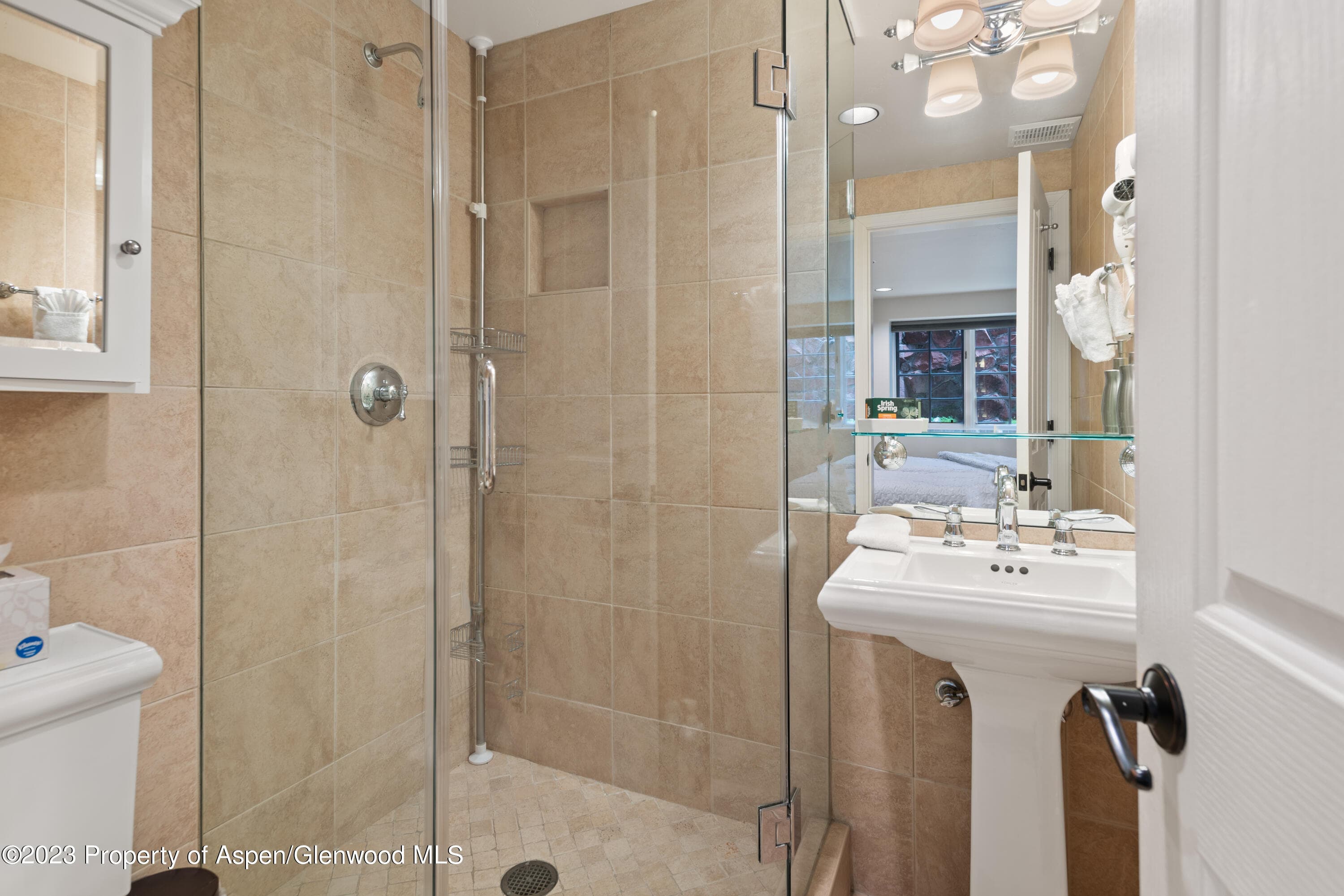 711 S Galena Street 20D, Aspen, CO 81611 - Photo 20
