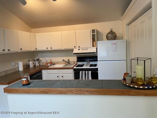 104 Waterview Drive, Snowmass, CO 81654 - Photo 11