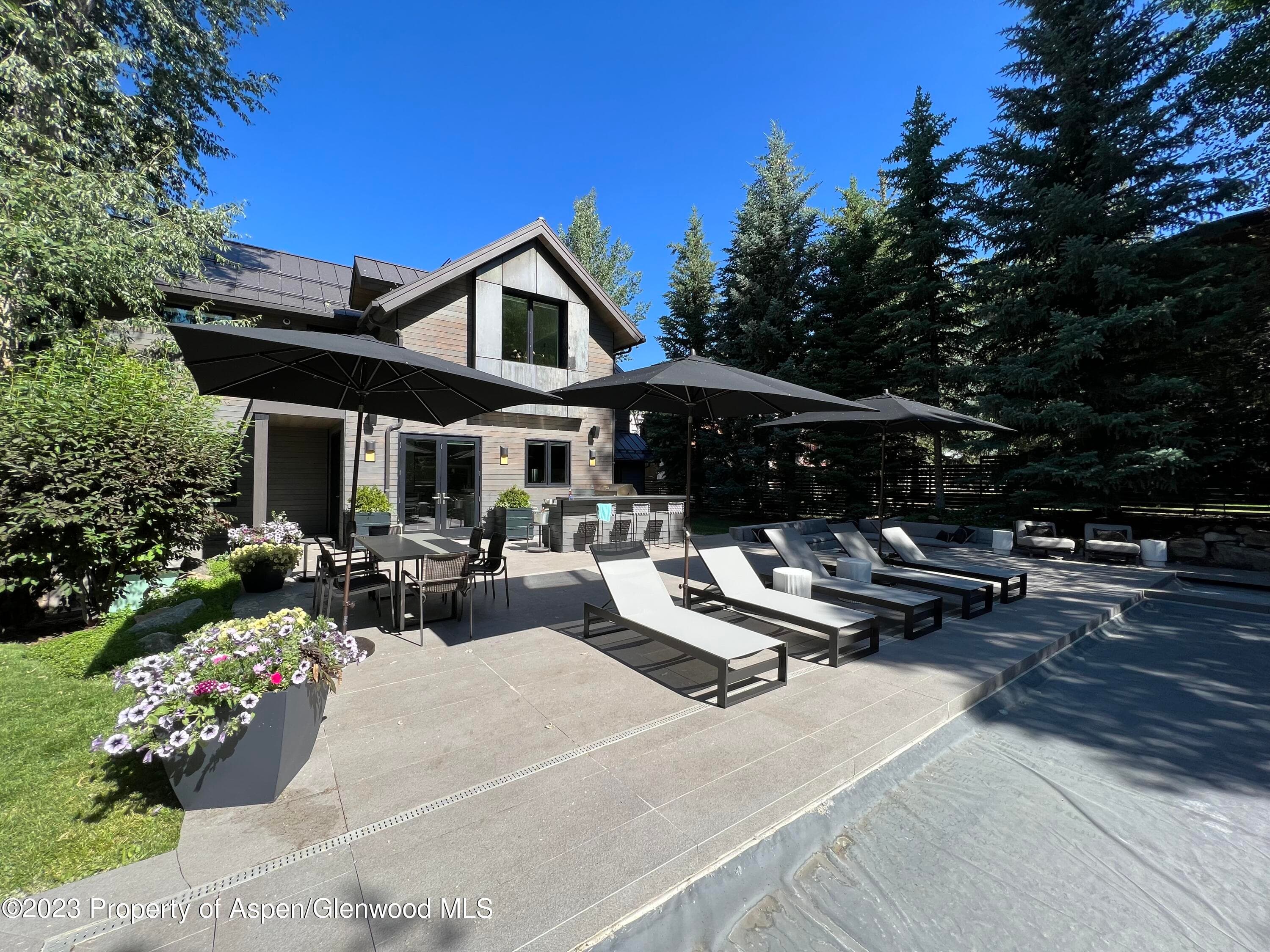936 King Street, Aspen, CO 81611 - Photo 6