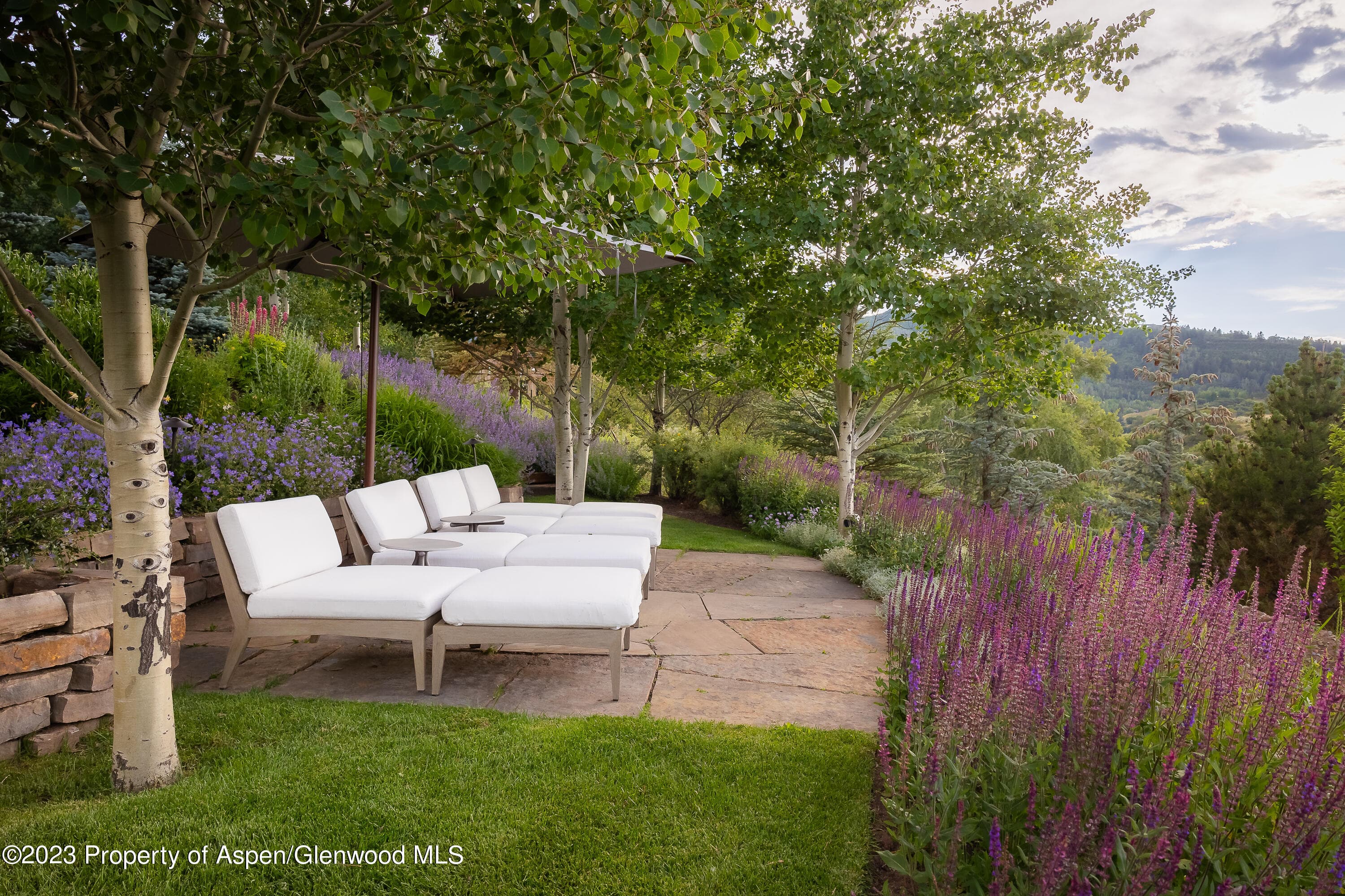 11 Heather Lane, Aspen, CO 81611 - Photo 54