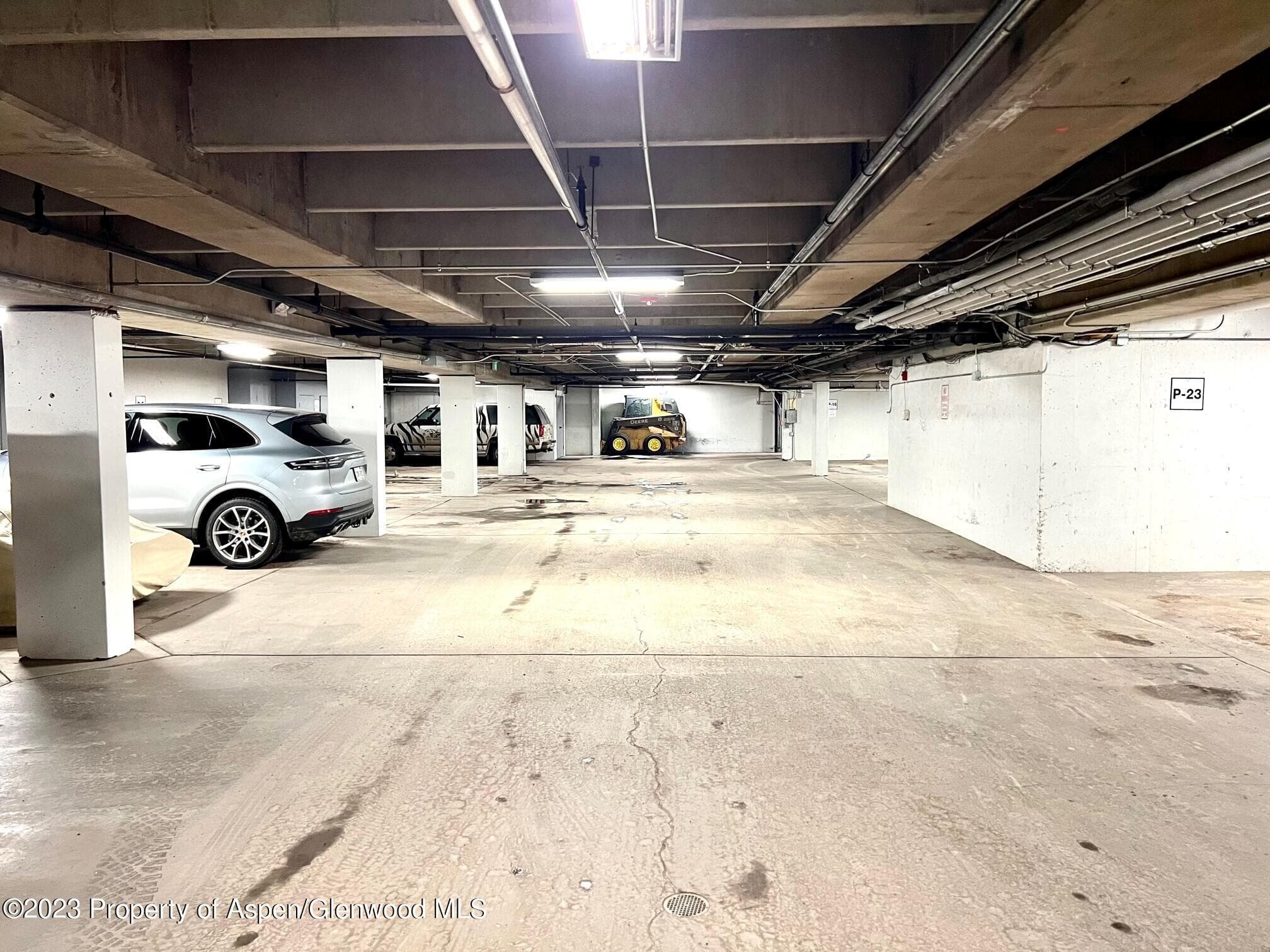 710 E Durant Avenue Unit P-21, Aspen, CO 81611