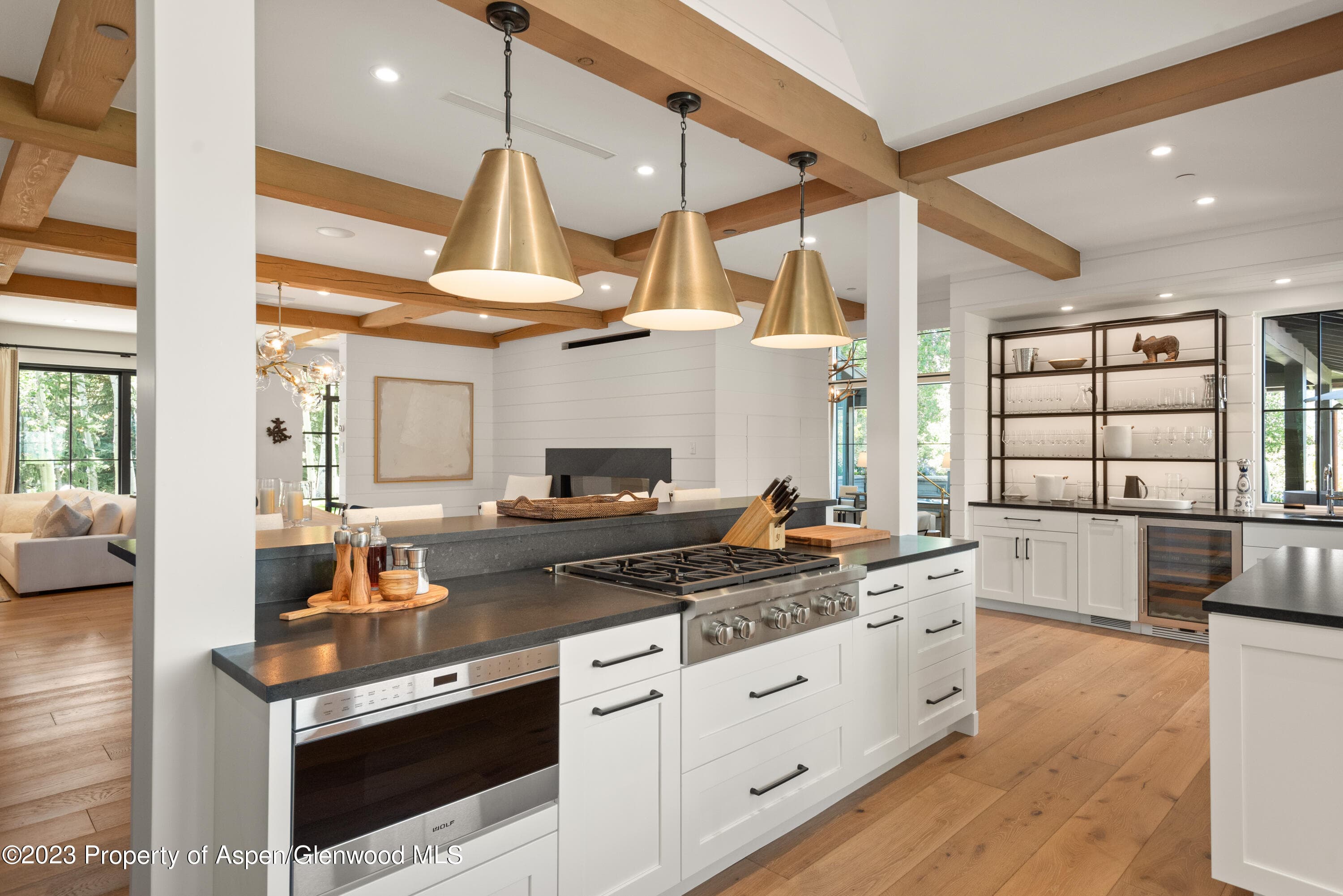 11 Heather Lane, Aspen, CO 81611 - Photo 3