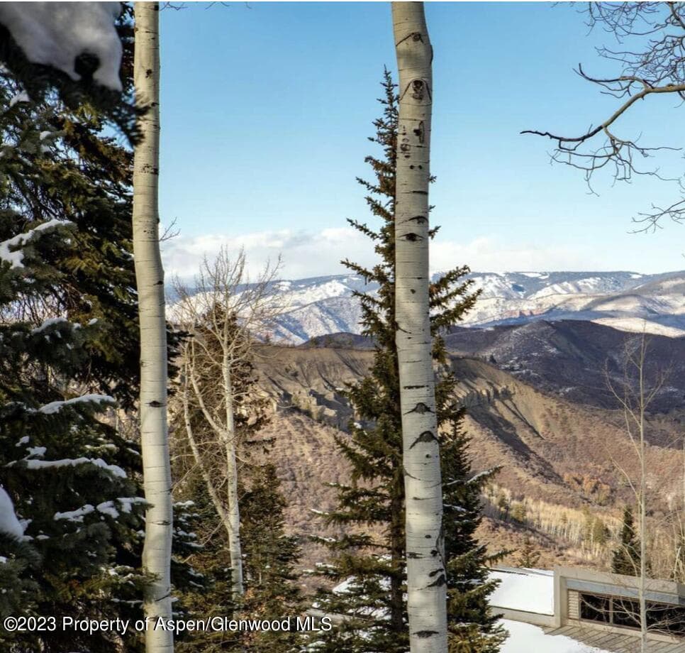1155 Wood Road, Snowmass Village, CO 81615 - Photo 12