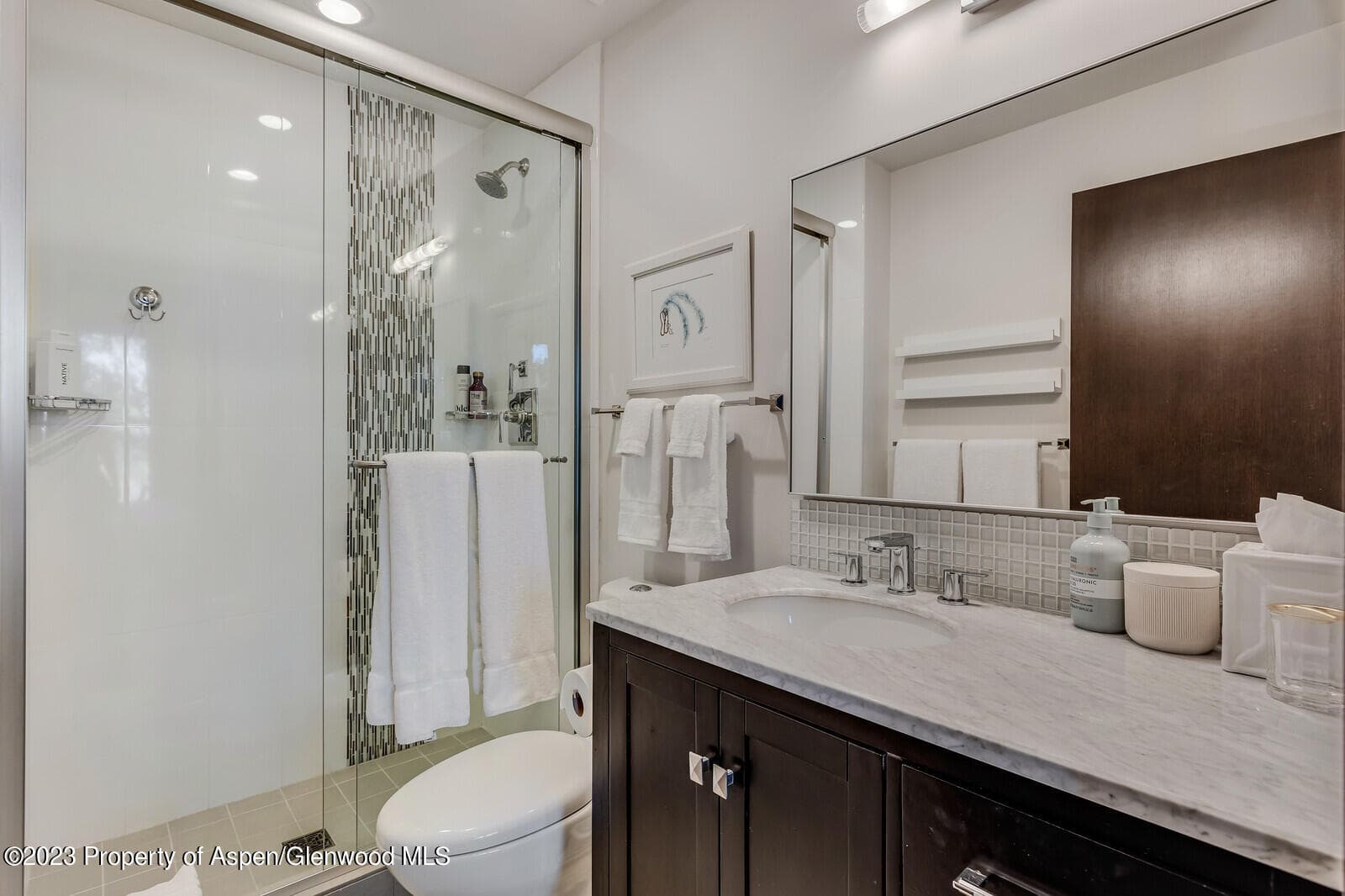 505 PARK Circle, Aspen, CO 81611 - Photo 30