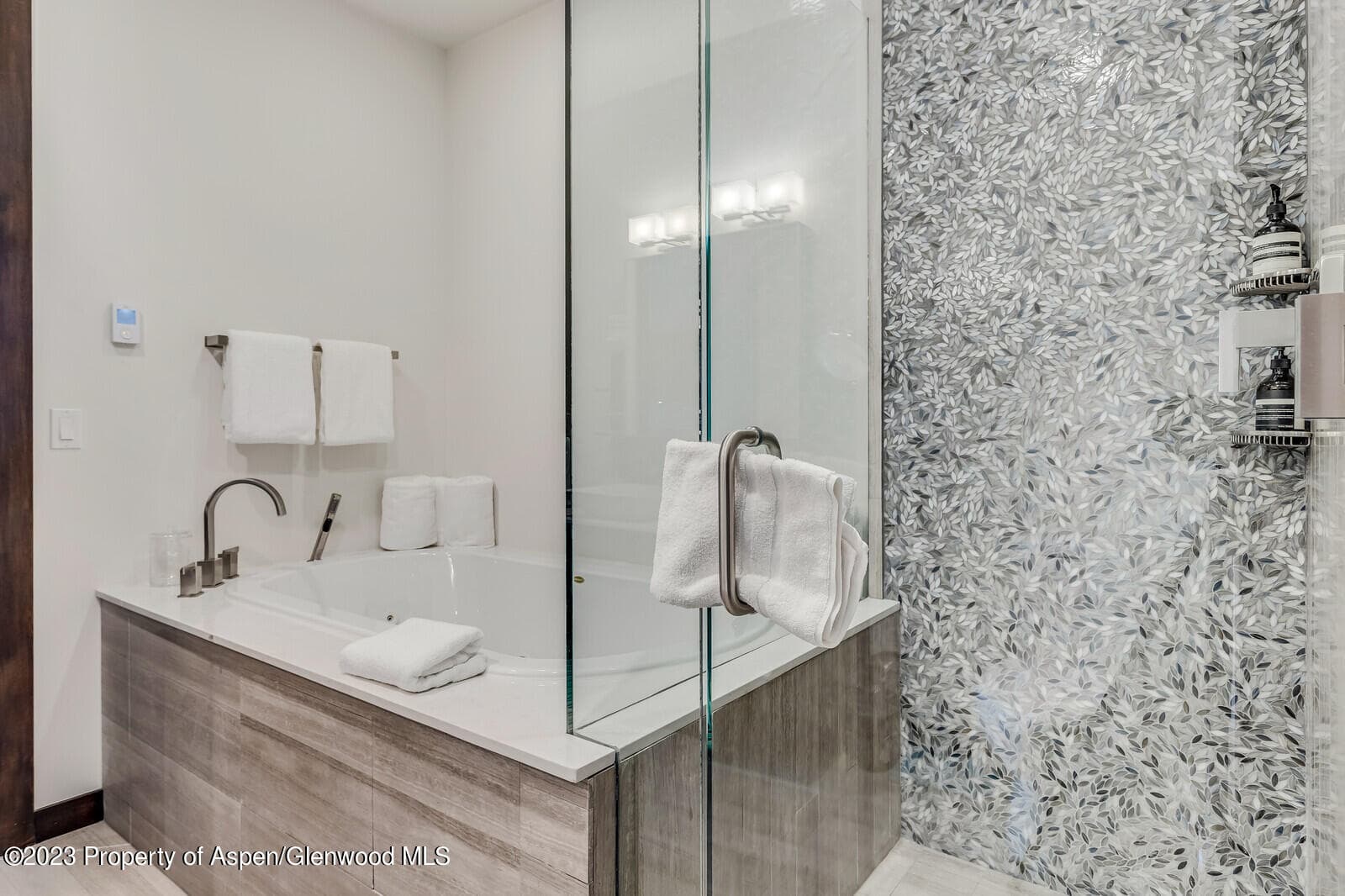 505 PARK Circle, Aspen, CO 81611 - Photo 20