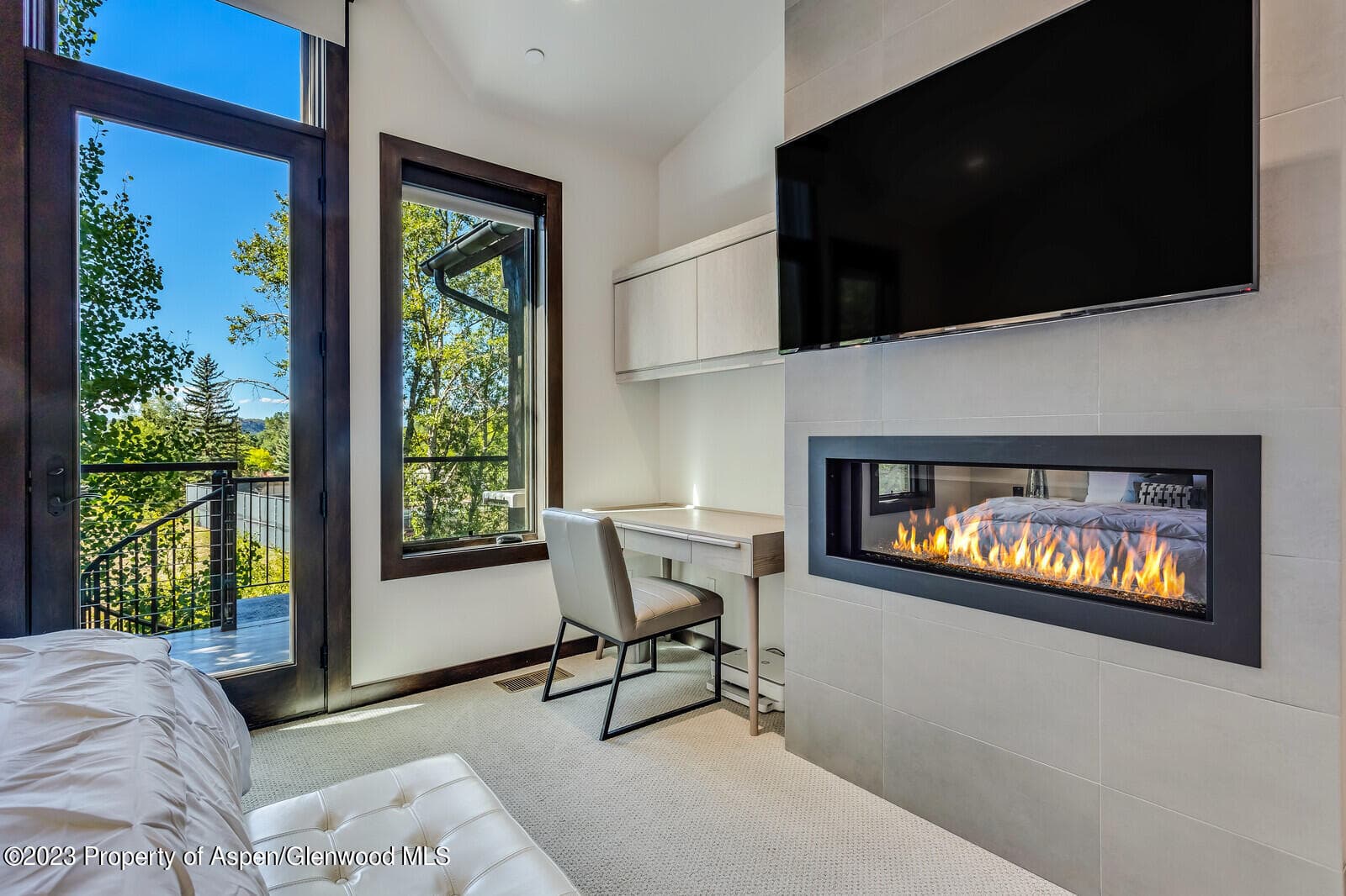505 PARK Circle, Aspen, CO 81611 - Photo 18