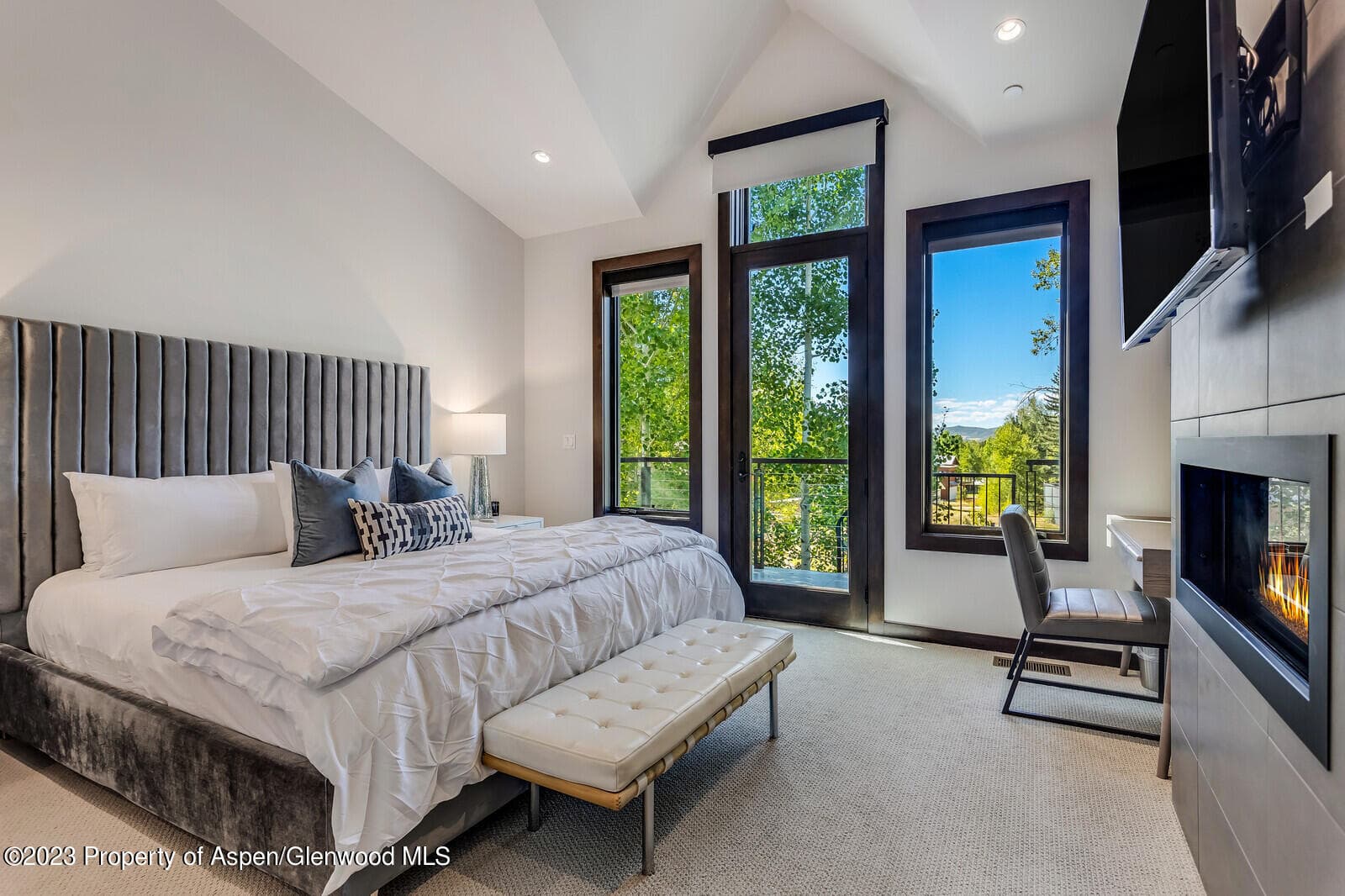 505 PARK Circle, Aspen, CO 81611 - Photo 17