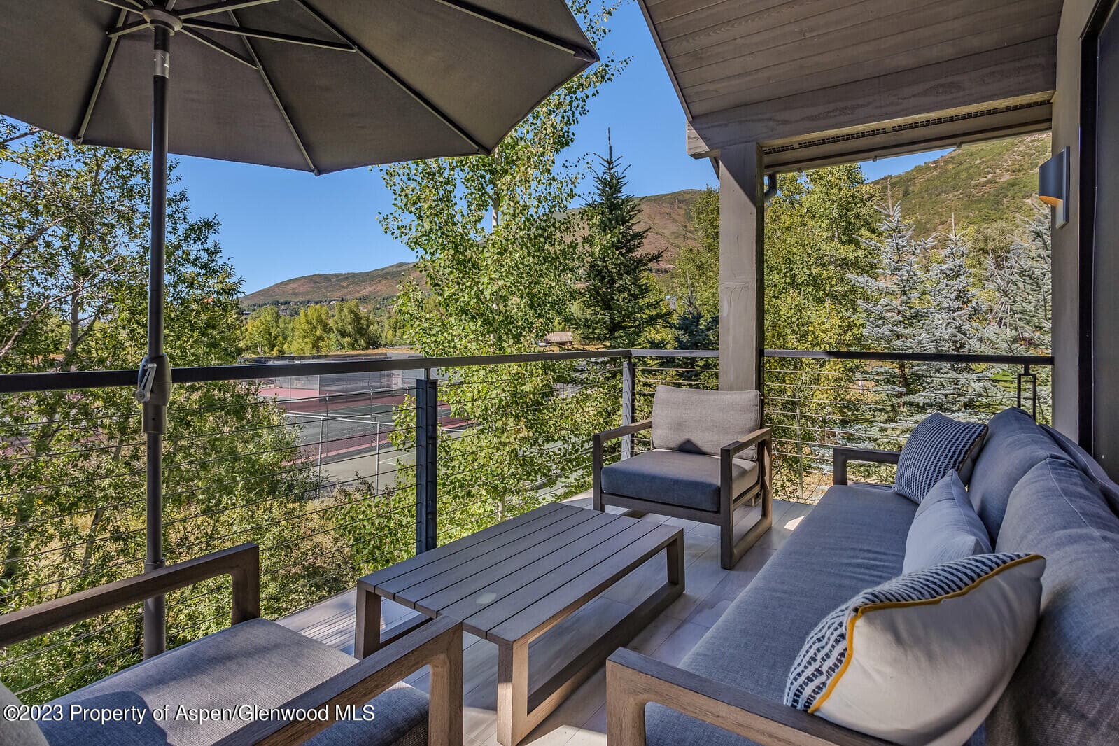 505 PARK Circle, Aspen, CO 81611 - Photo 39