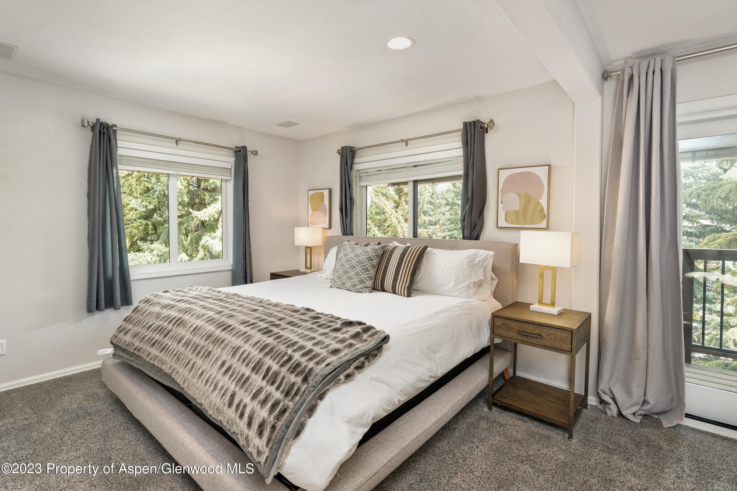 650 S Monarch Street 2, Aspen, CO 81611 - Photo 5