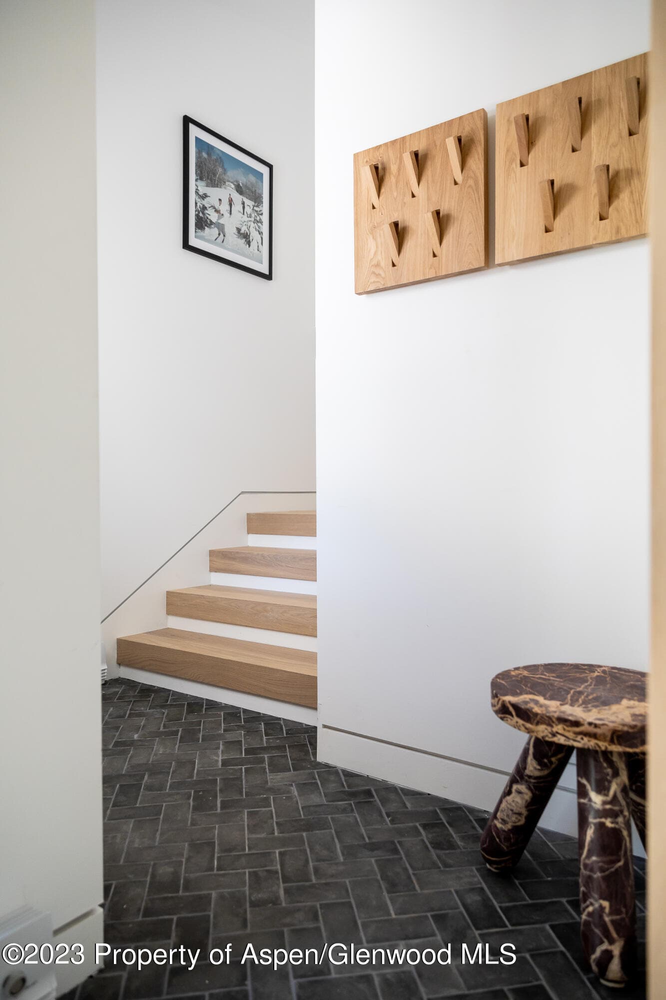 125 W Main Street, Aspen, CO 81611 - Photo 46