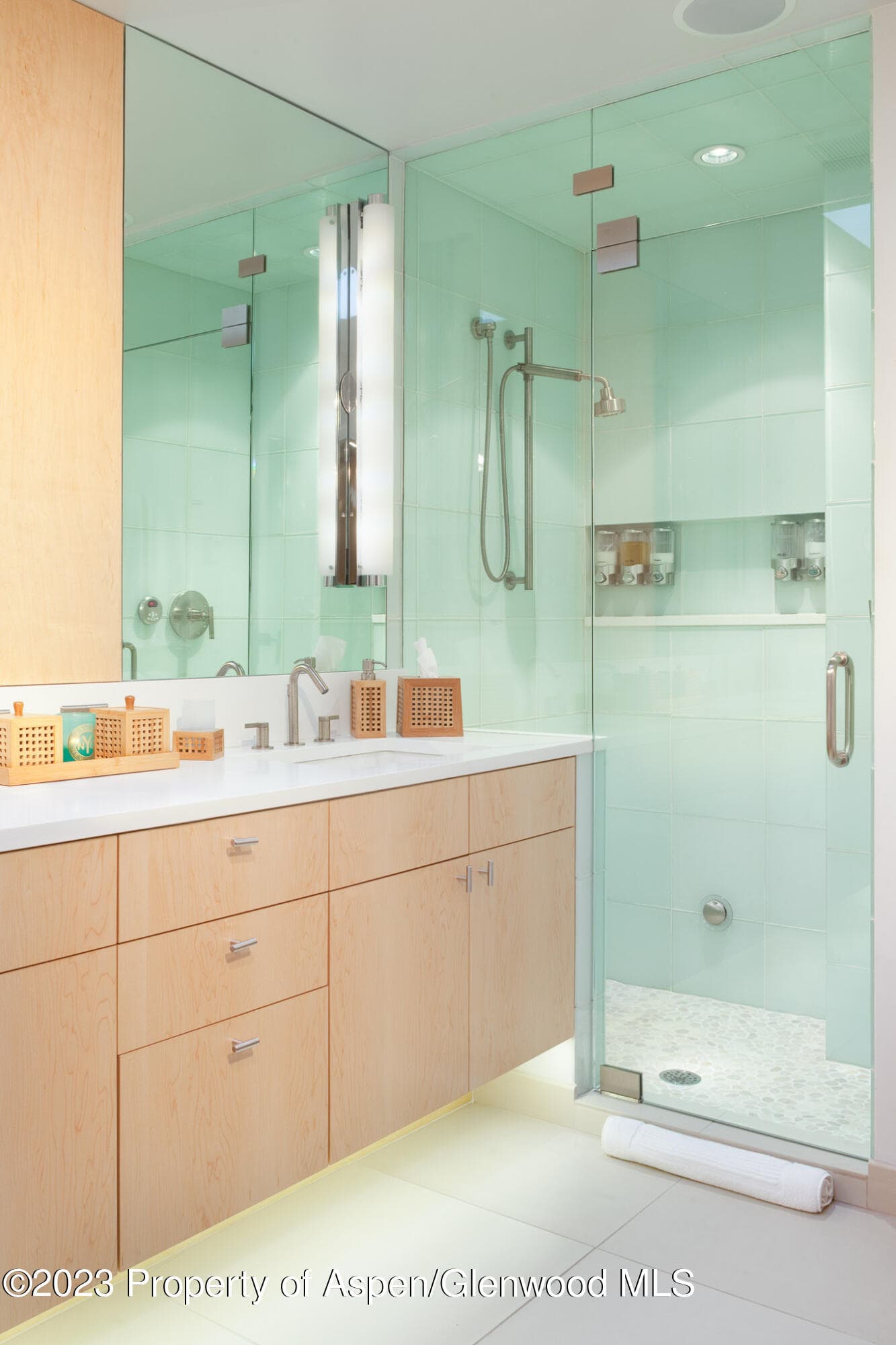 205 E Durant Avenue 3H, Aspen, CO 81611 - Photo 9