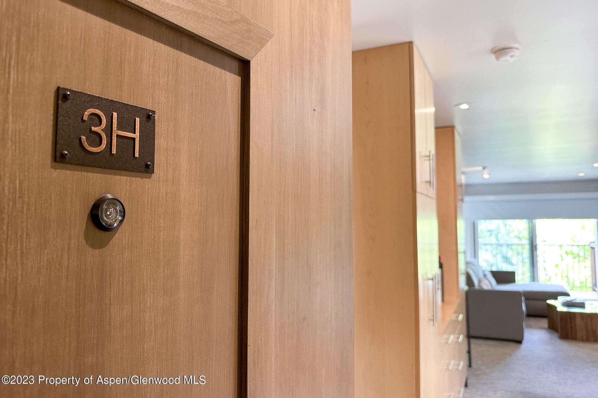 205 E Durant Avenue 3H, Aspen, CO 81611 - Photo 13
