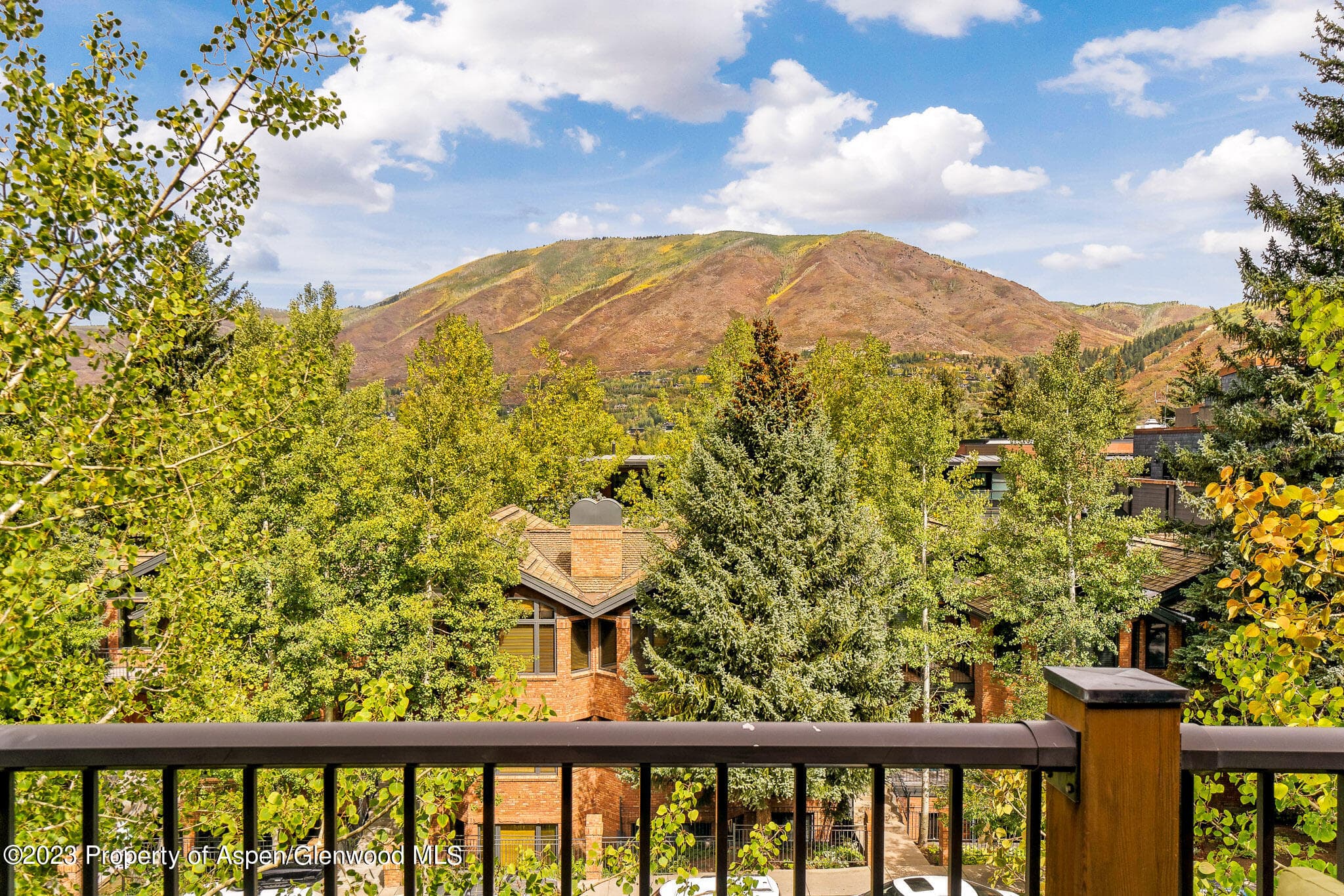 205 E Durant Avenue 3H, Aspen, CO 81611 - Photo 15