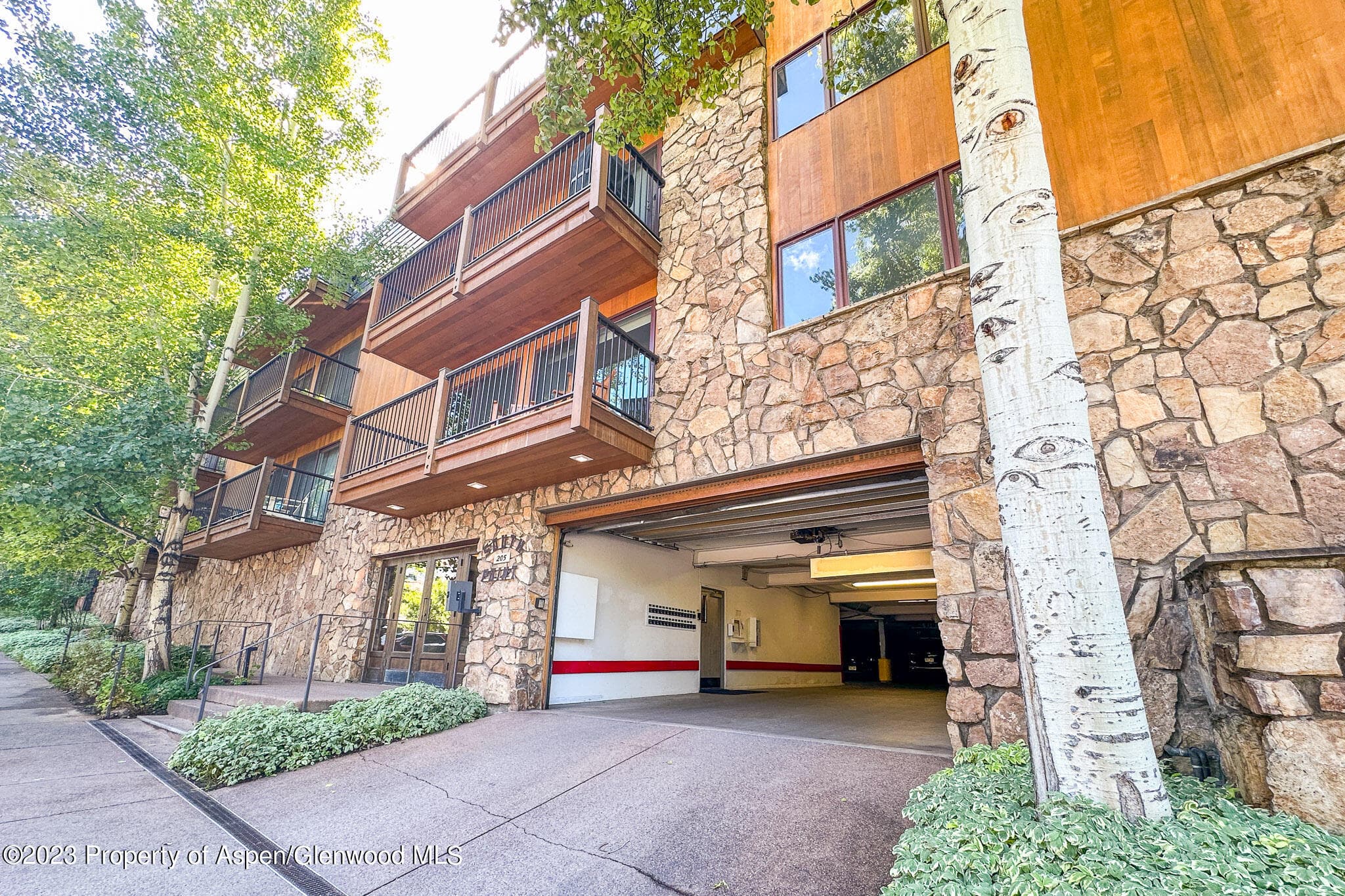 205 E Durant Avenue 3H, Aspen, CO 81611 - Photo 18