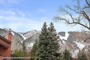 1316 Vine Street, Aspen, CO 81611 - Photo 17