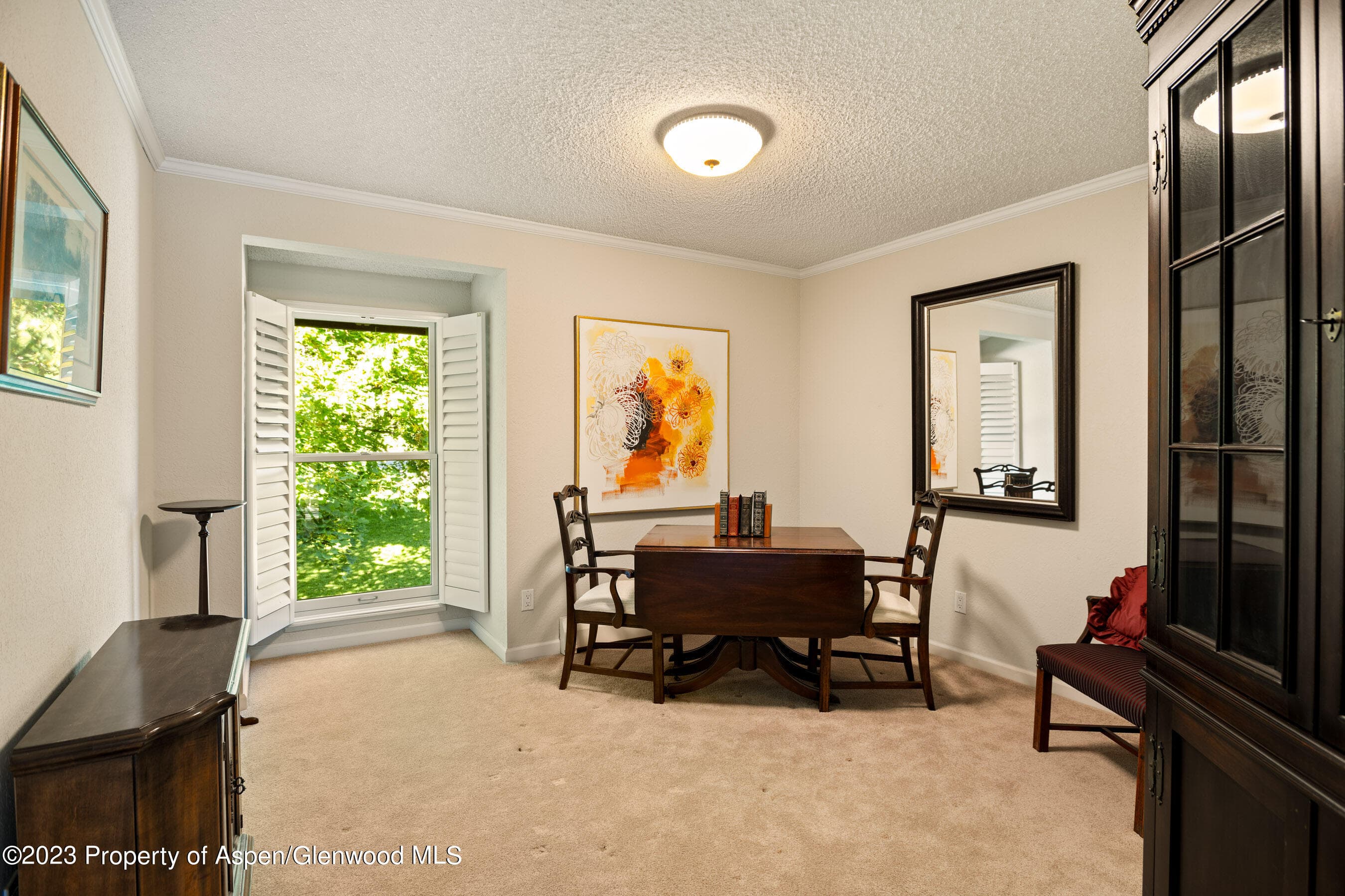 1302 Riverview Avenue, Glenwood Springs, CO 81601 - Photo 15