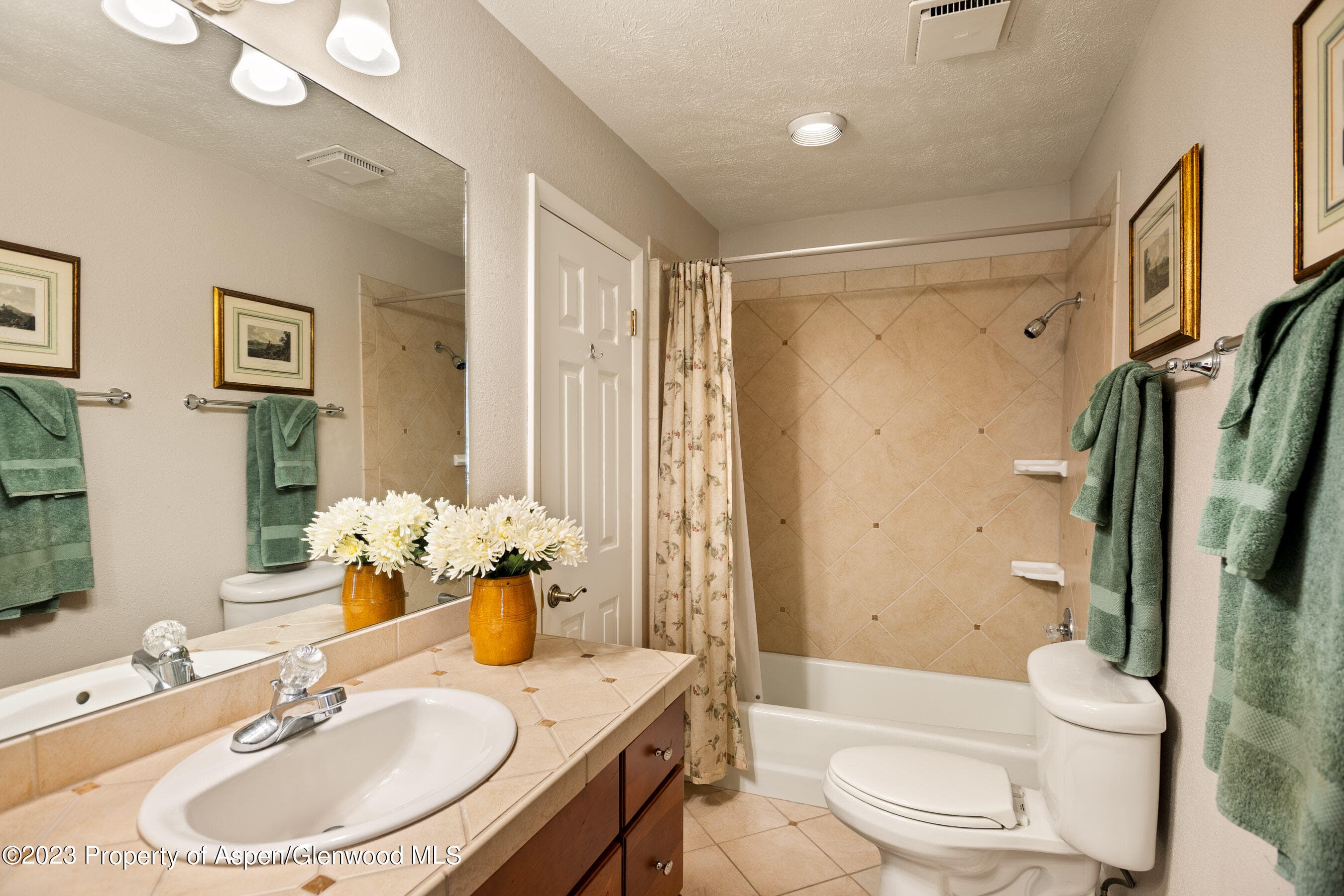 1302 Riverview Avenue, Glenwood Springs, CO 81601 - Photo 14