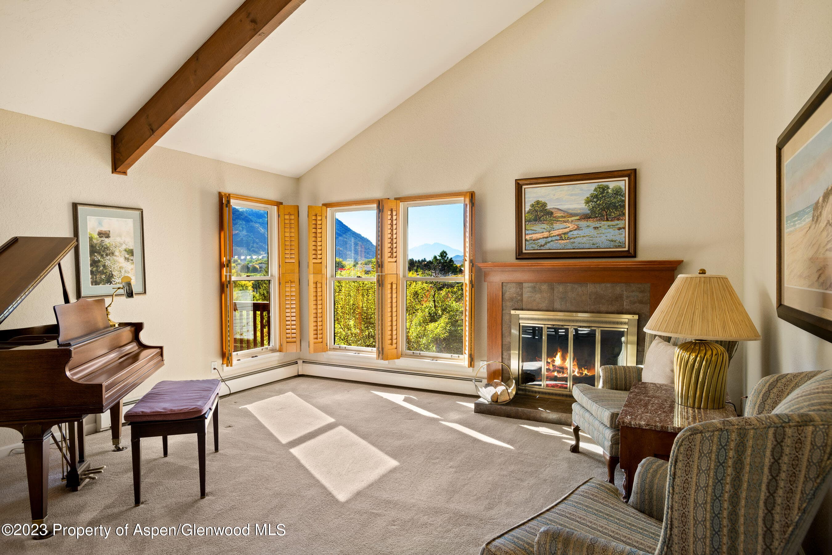1302 Riverview Avenue, Glenwood Springs, CO 81601 - Photo 9