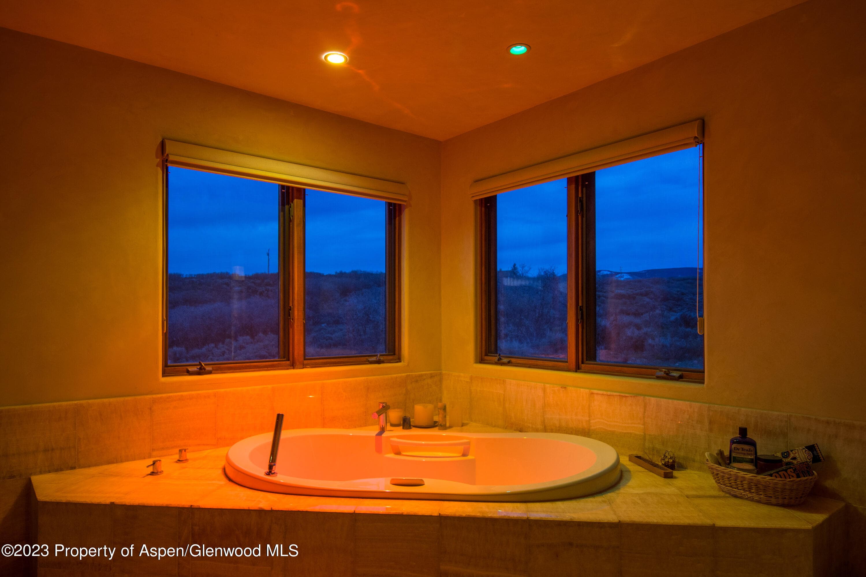 712 Buck Point Road, Carbondale, CO 81623 - Photo 15