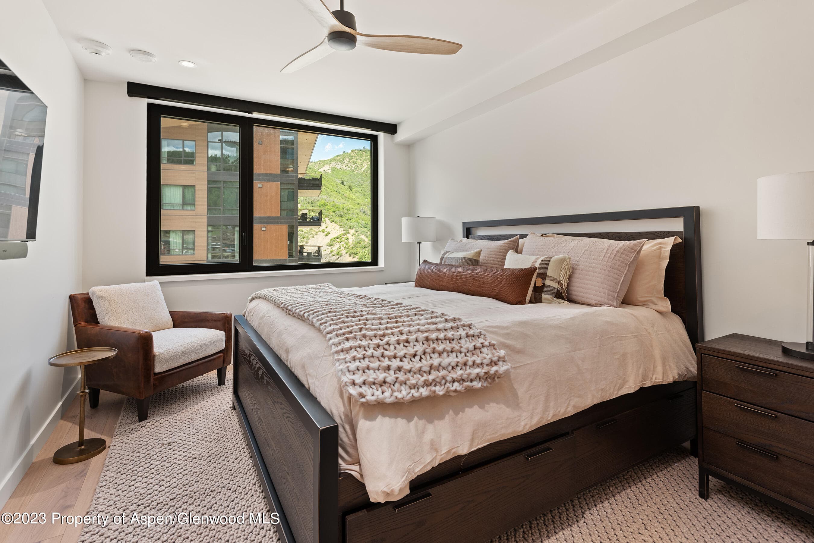 119 Wood Road 201, Snowmass Village, CO 81615 - Photo 3