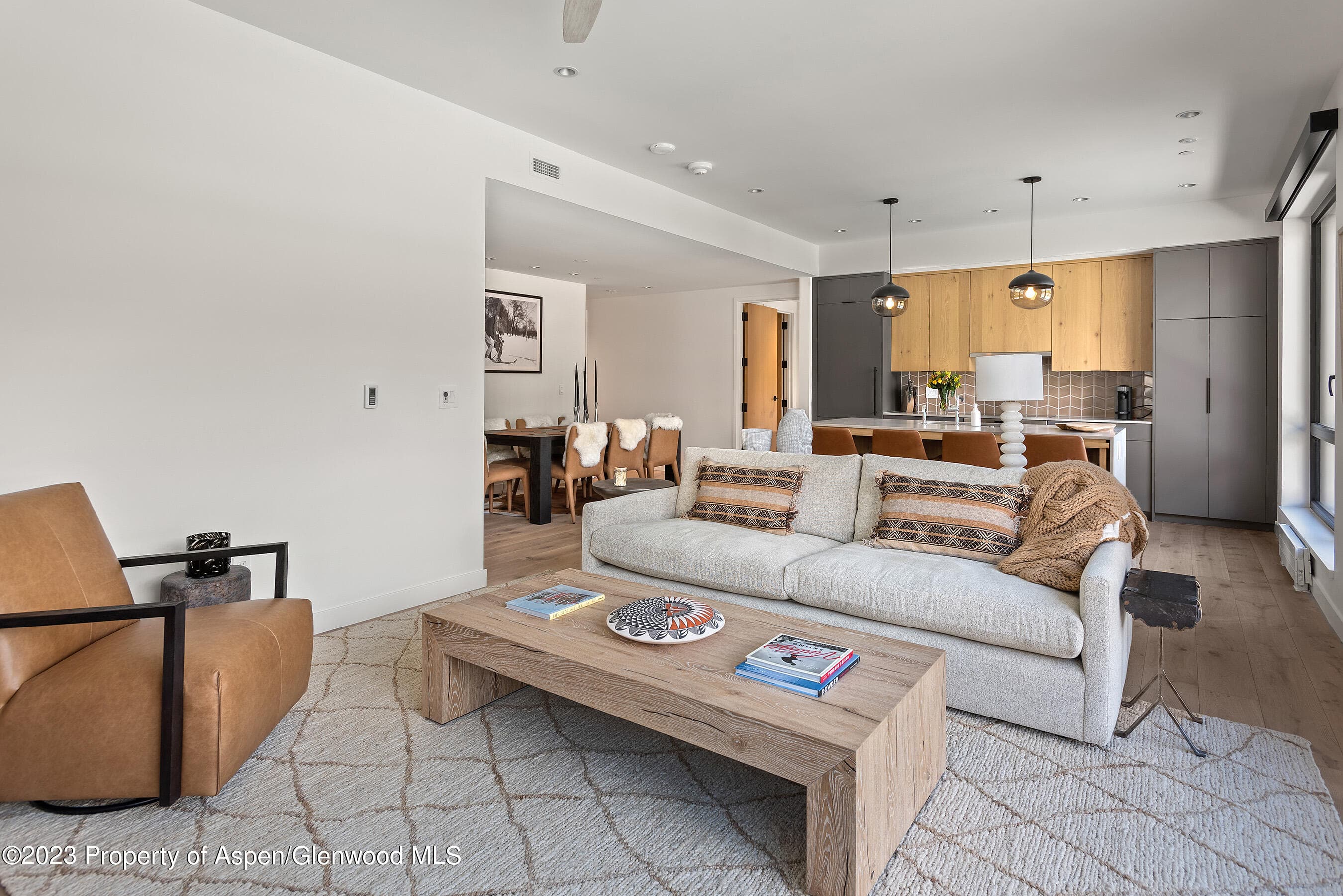 119 Wood Road 201, Snowmass Village, CO 81615 - Photo 10