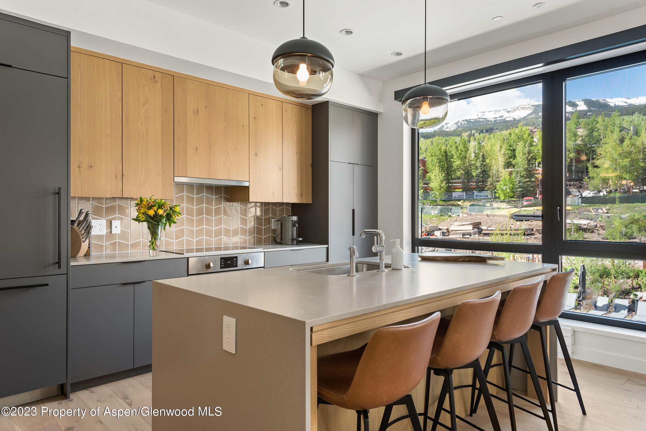 119 Wood Road 201, Snowmass Village, CO 81615 - Photo 12
